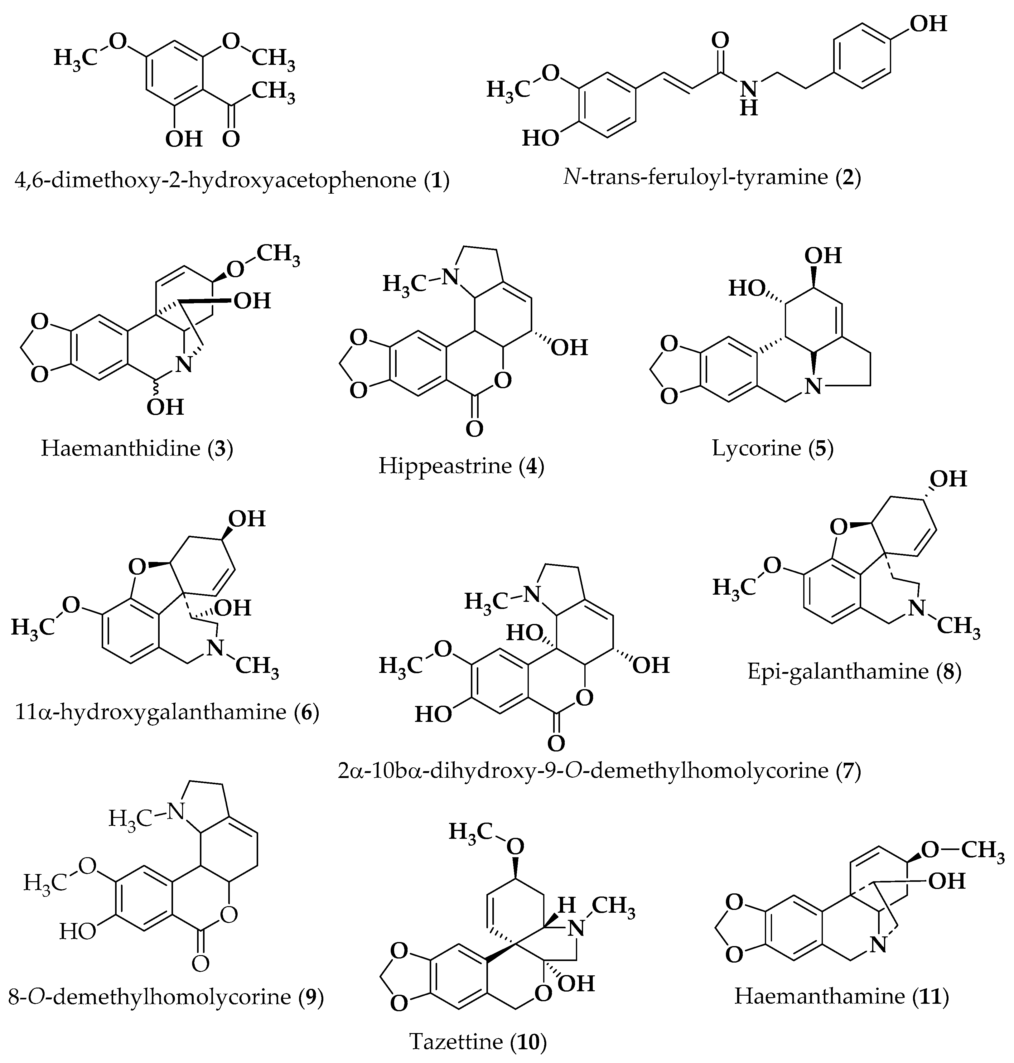 Molecules 27 05759 g001