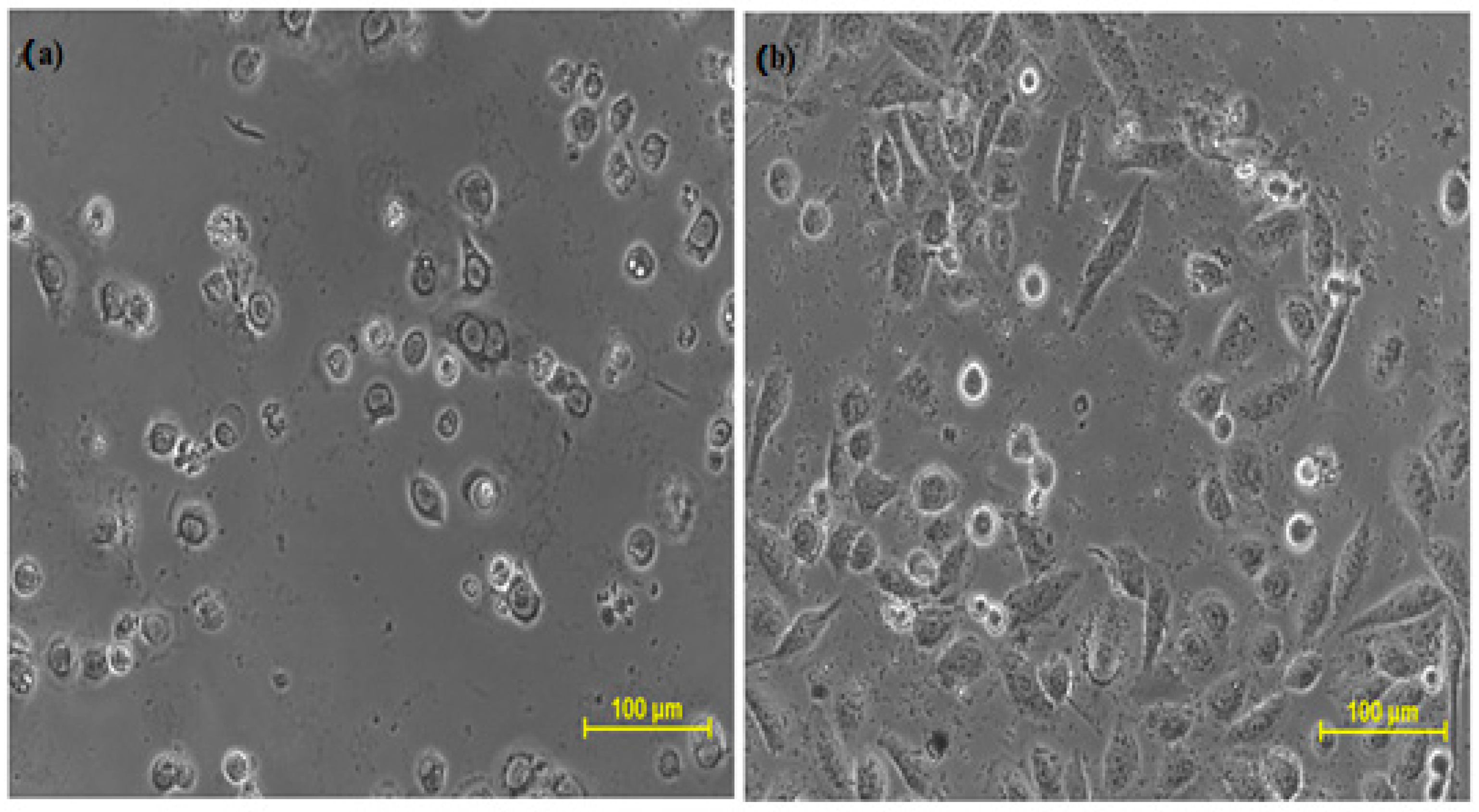Molecules 27 05764 g003
