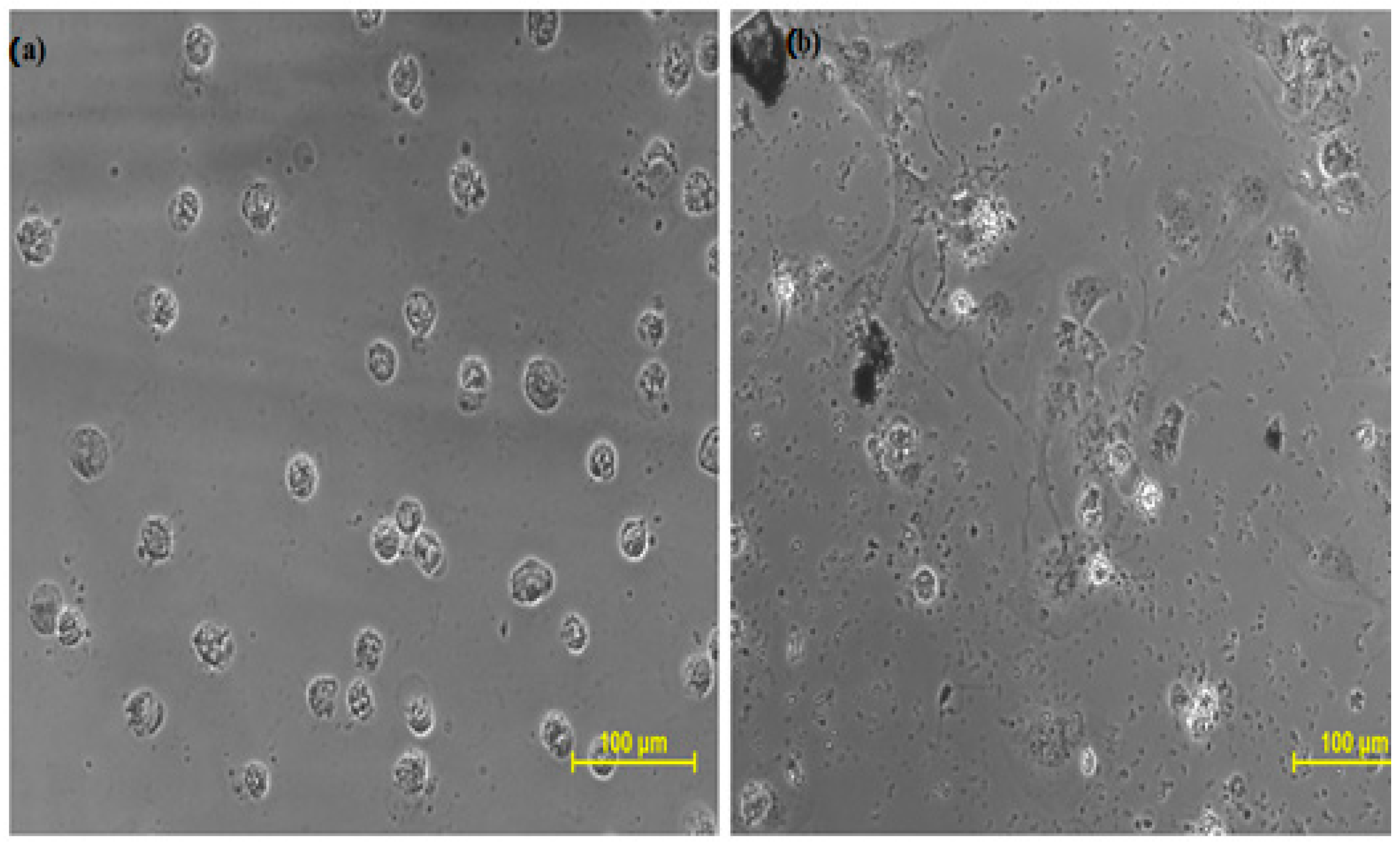 Molecules 27 05764 g004