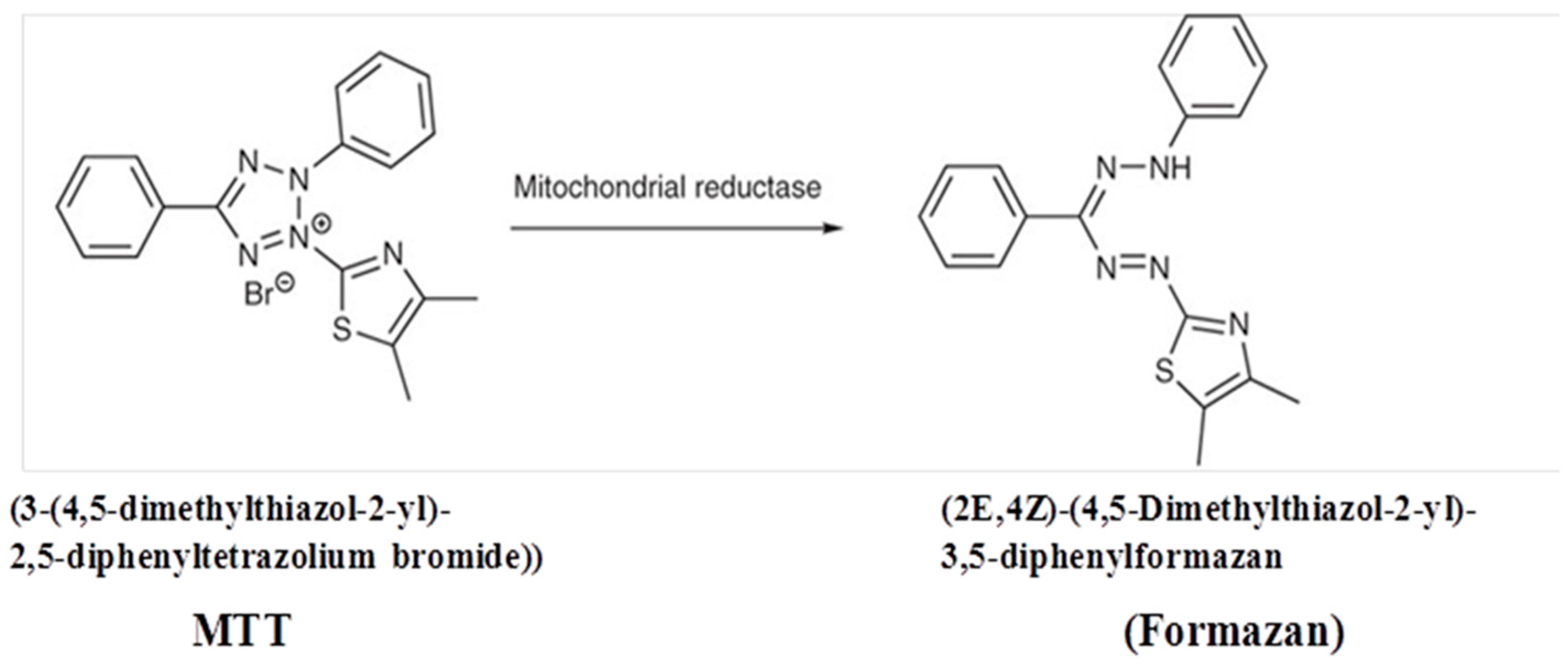 Molecules 27 05764 g007