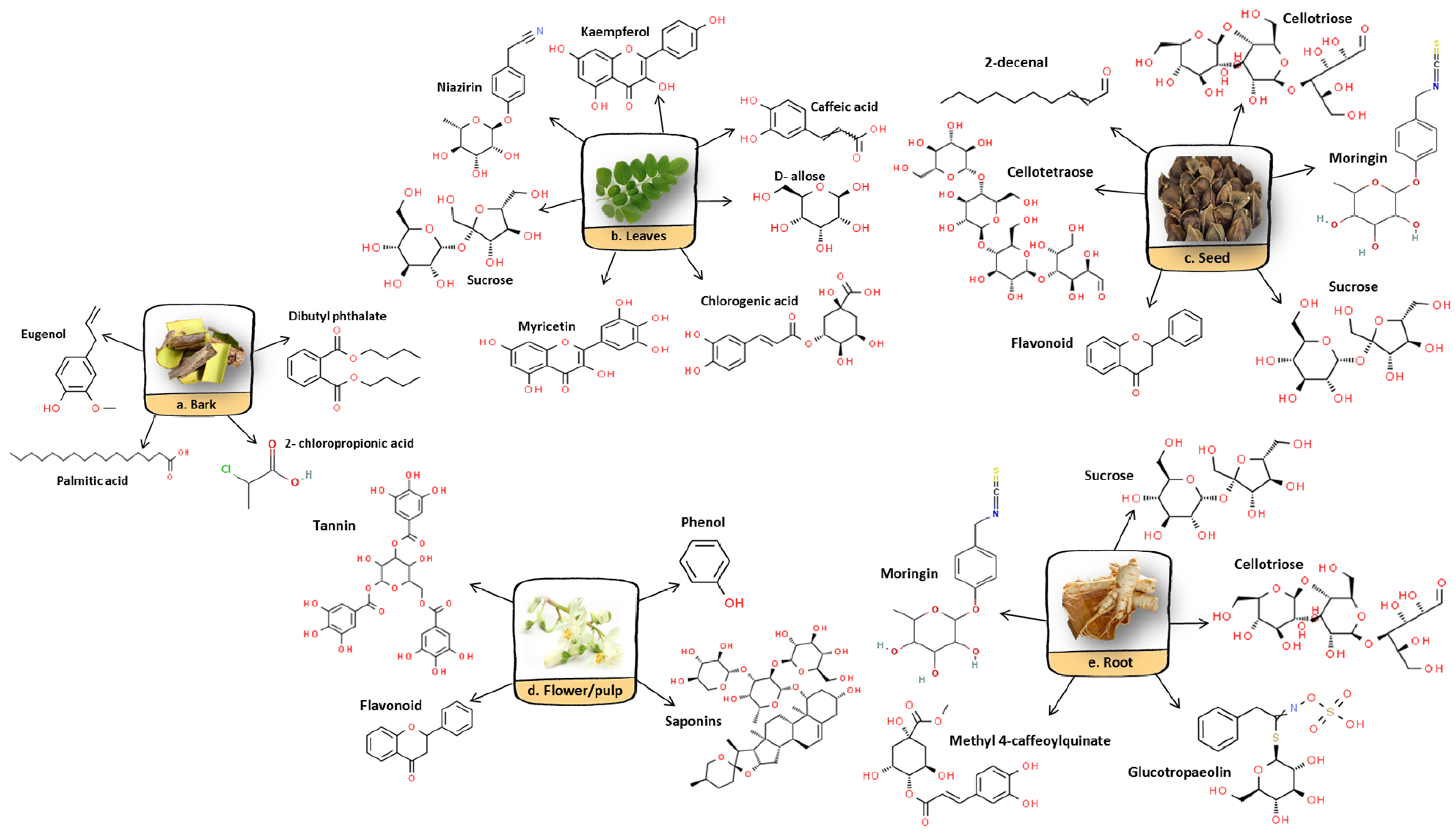 Molecules 27 05765 g004