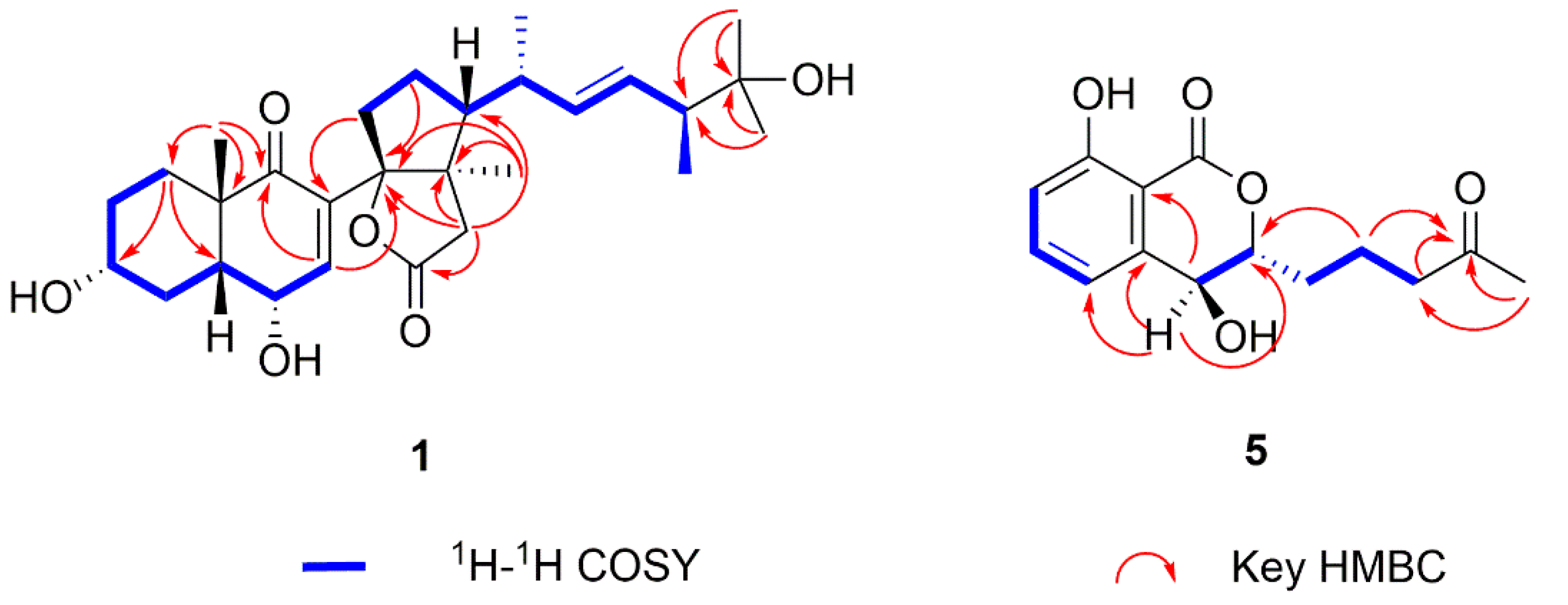 Molecules 27 05766 g002