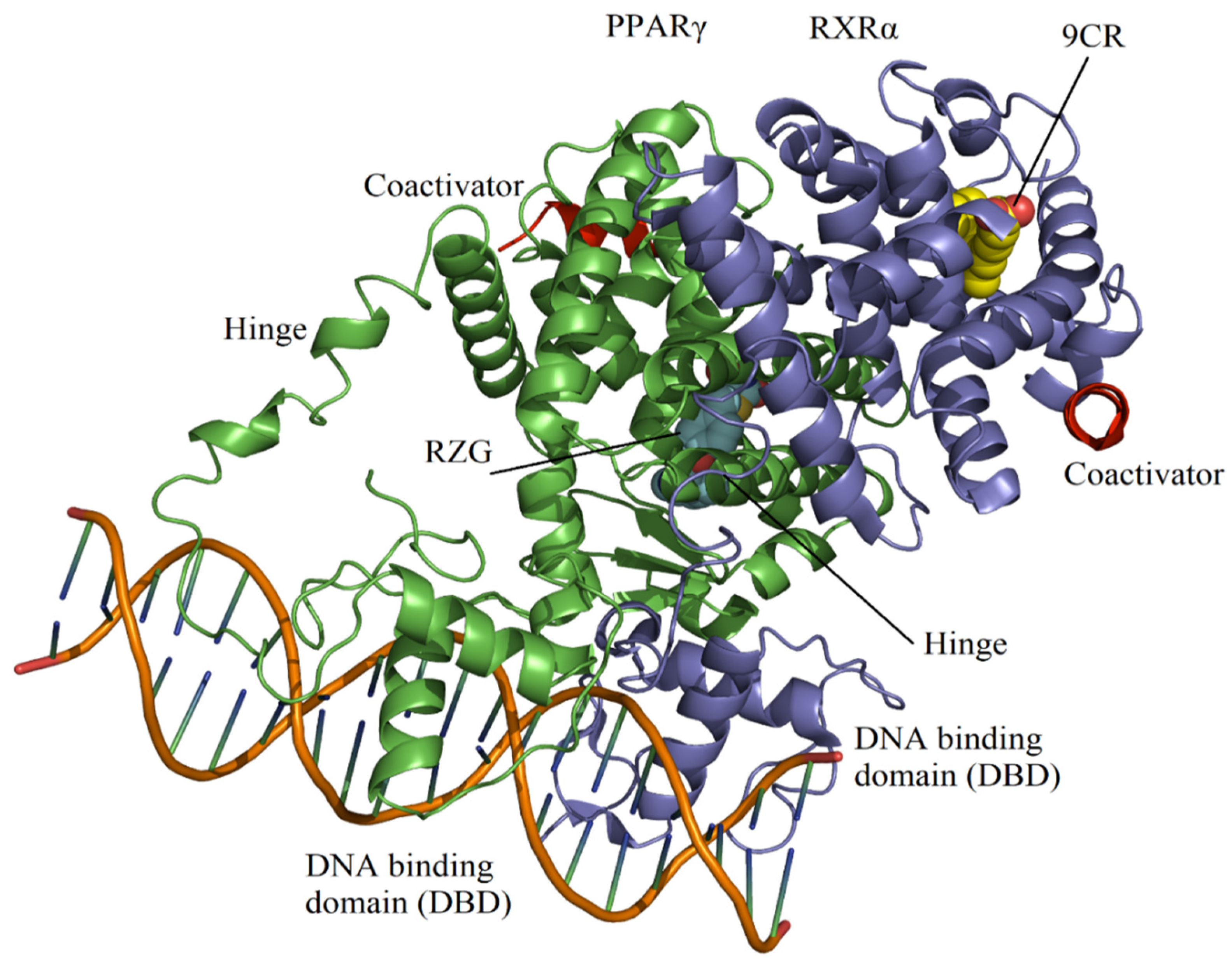 Molecules 27 05778 g001
