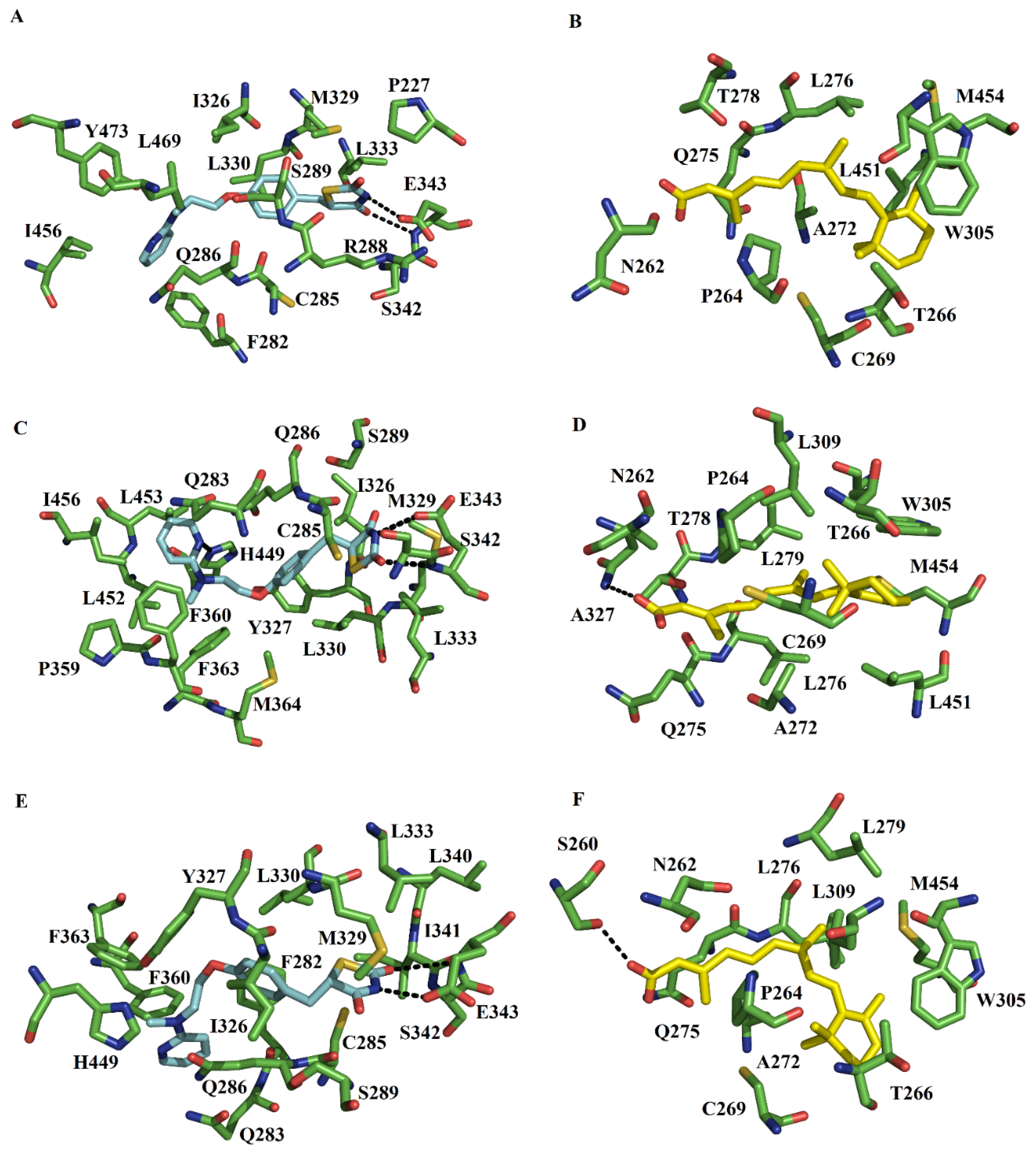 Molecules 27 05778 g002