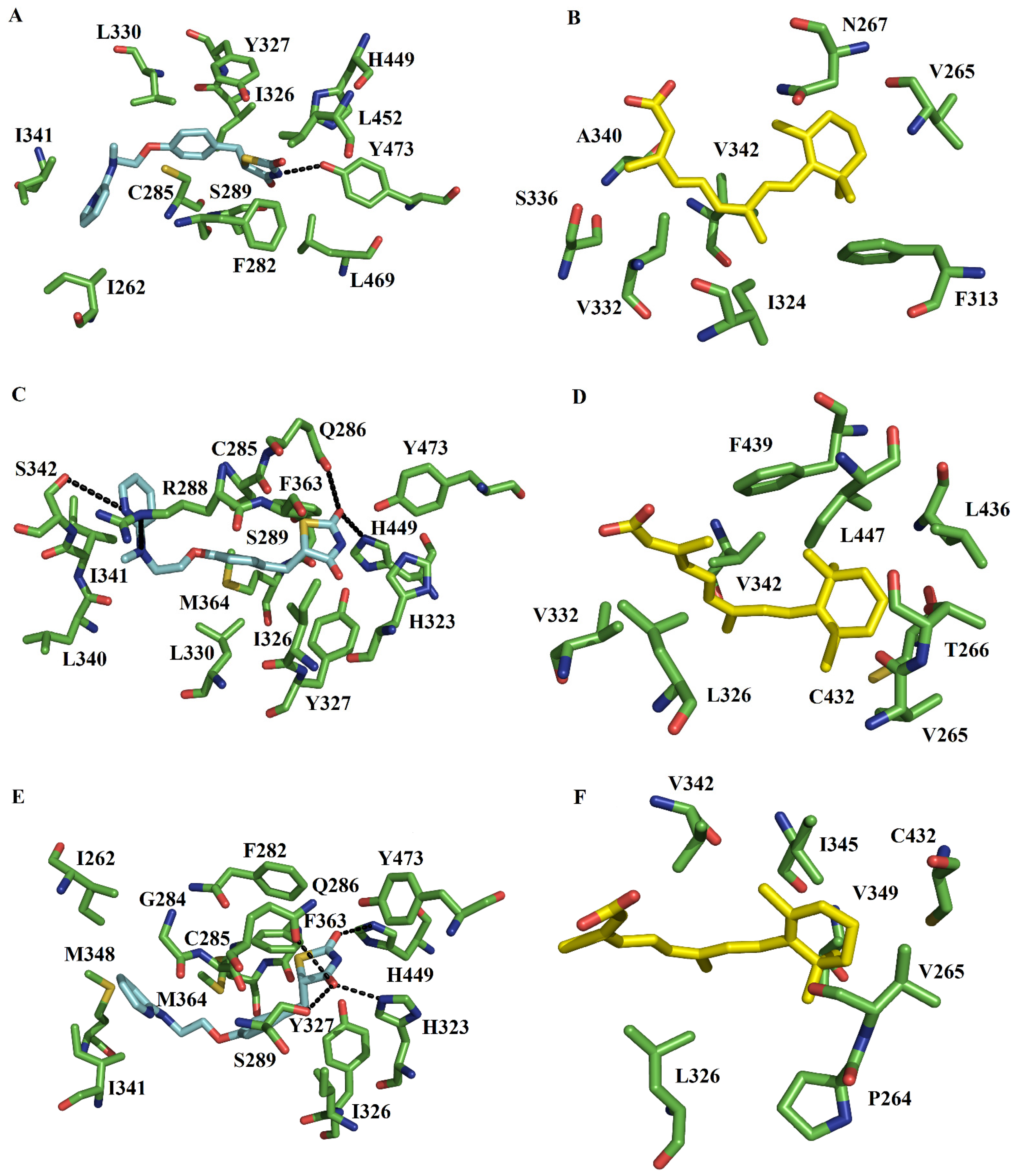 Molecules 27 05778 g003