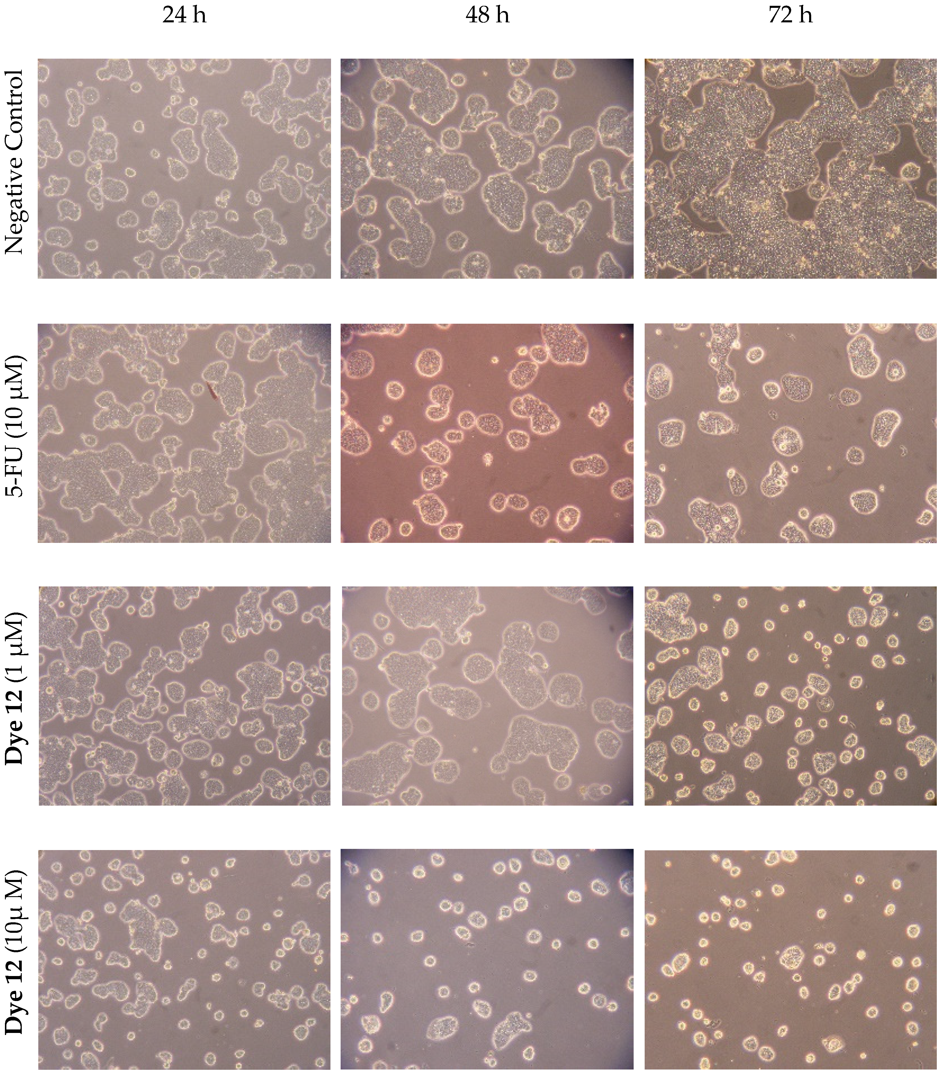 Molecules 27 05779 g005