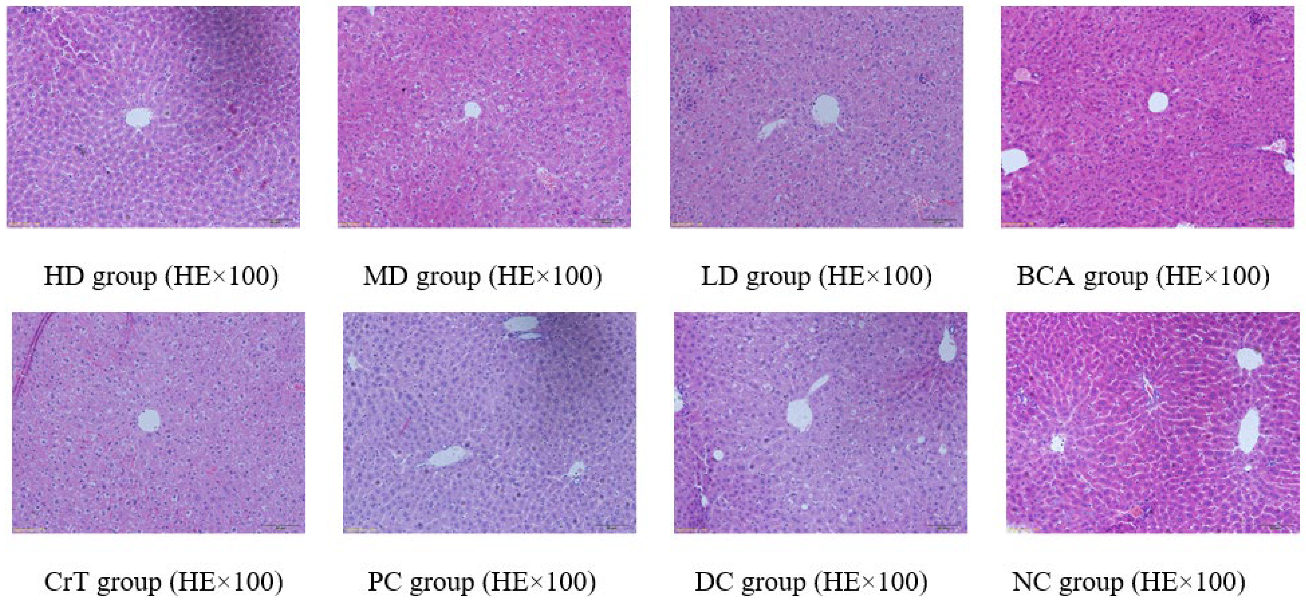 Molecules 27 05786 g011