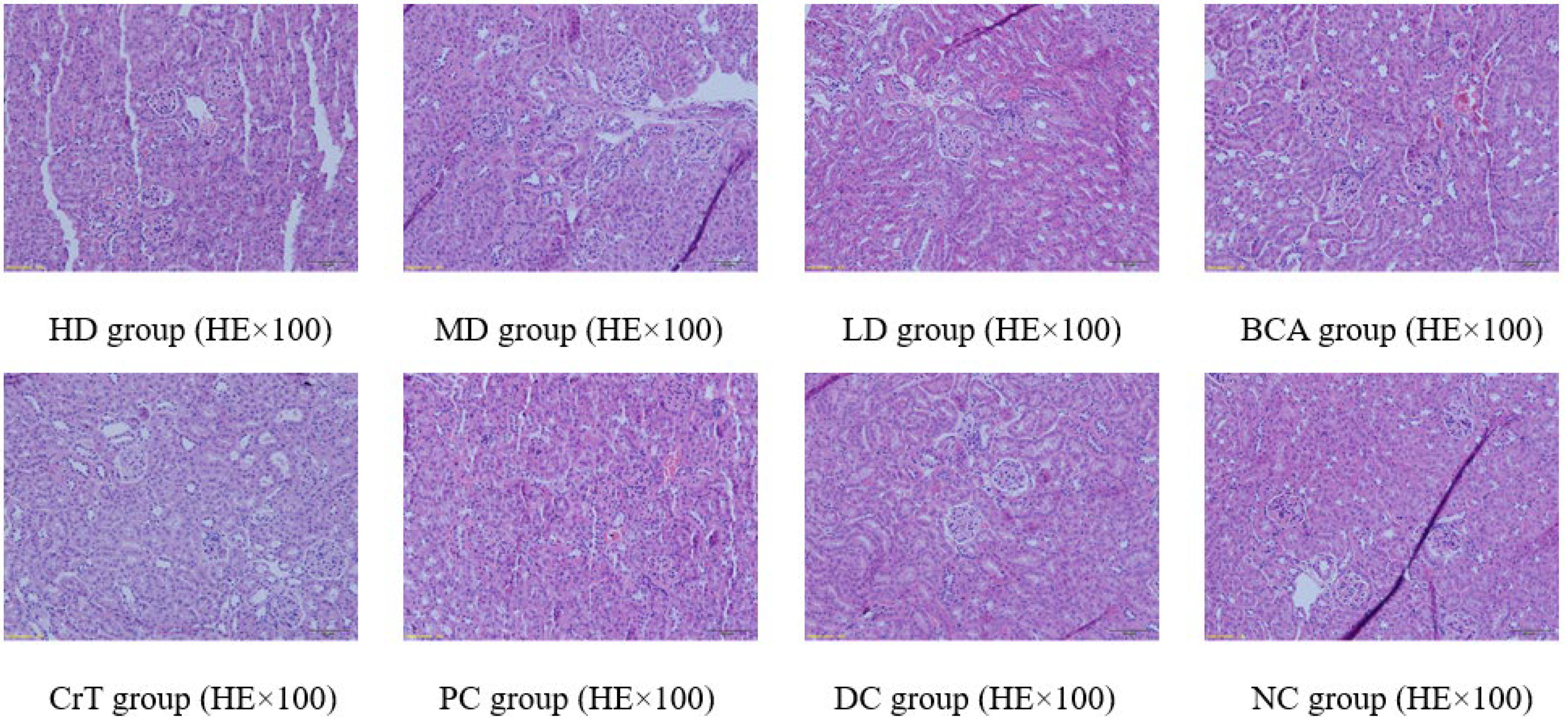 Molecules 27 05786 g012