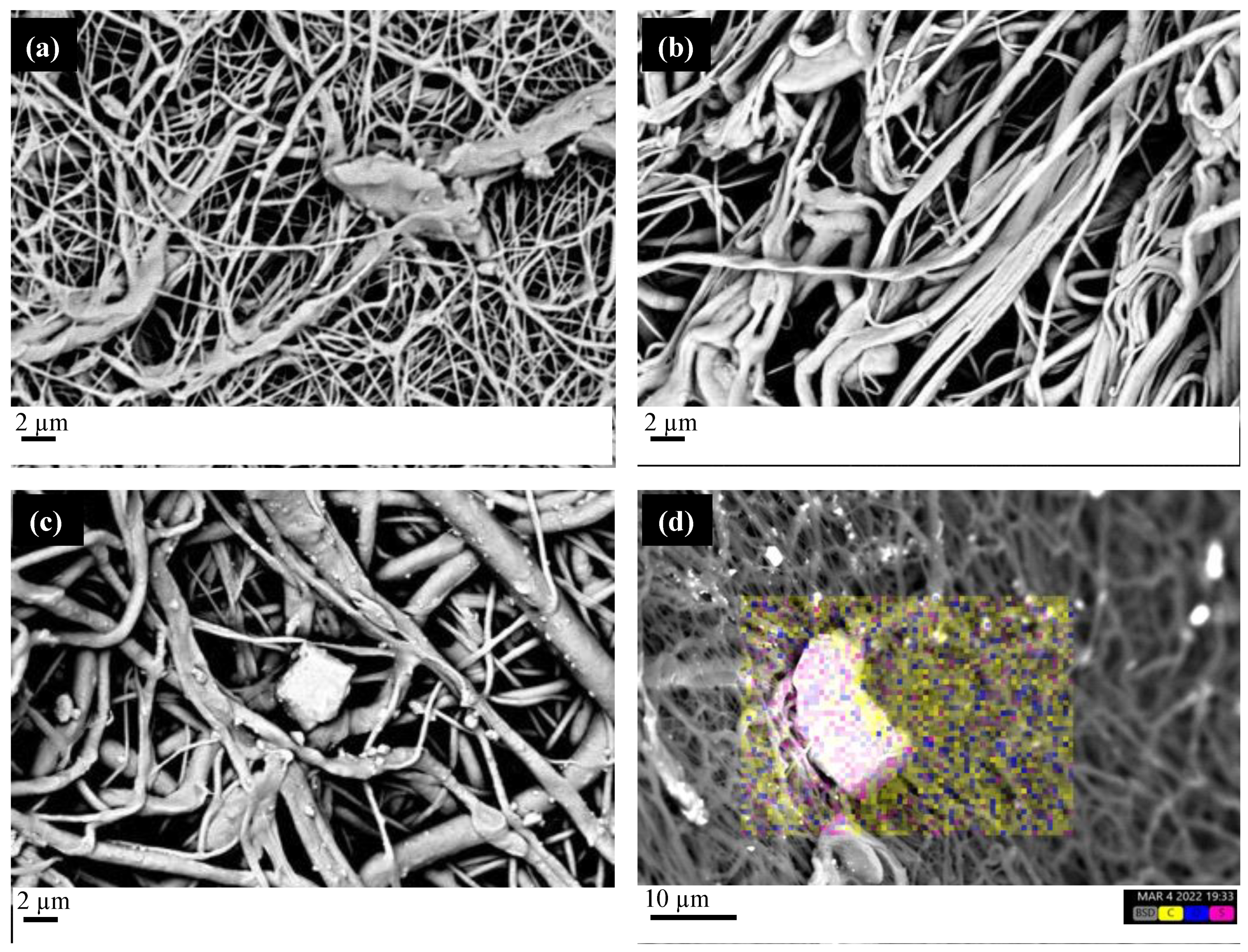 Molecules 27 05800 g008