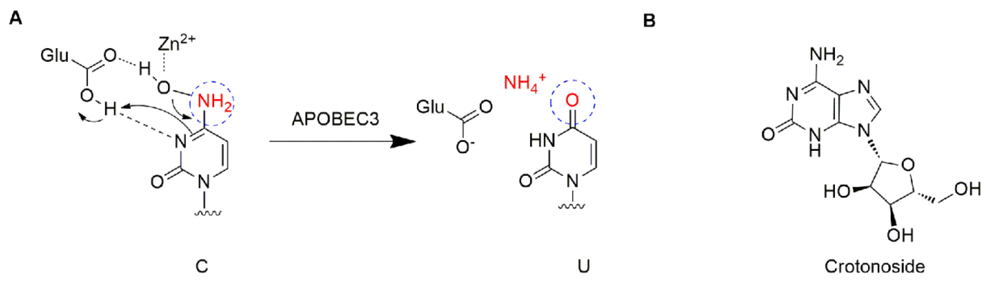 Molecules 27 05804 g001