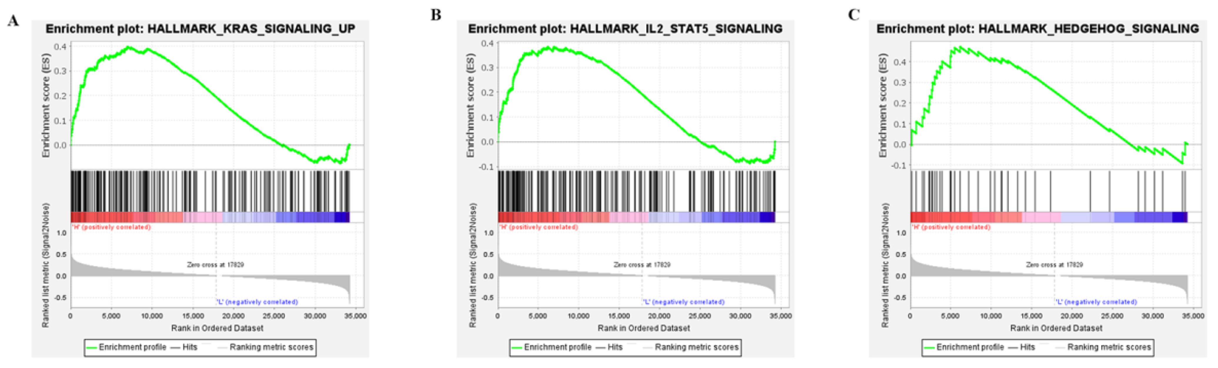 Molecules 27 05804 g005