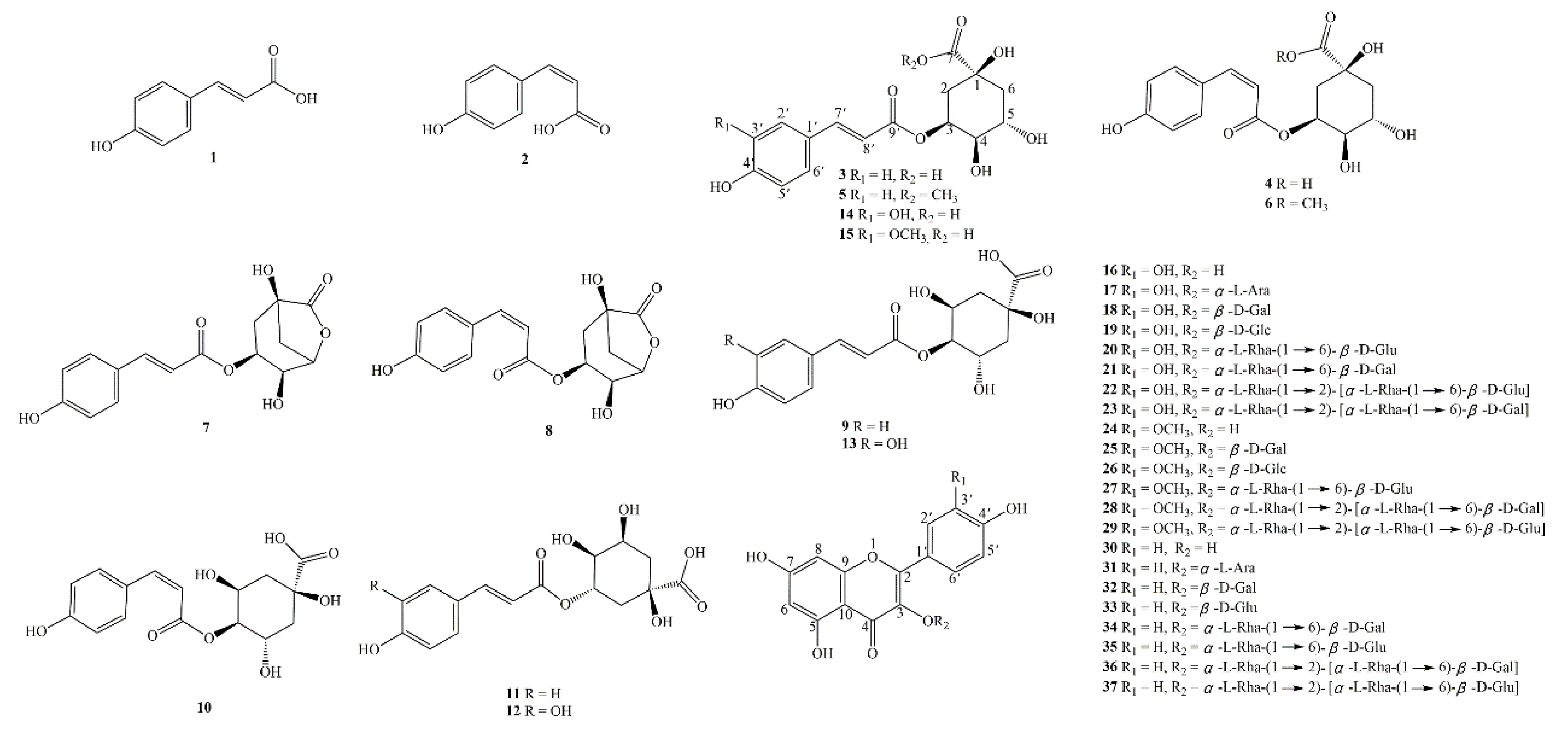 Molecules 27 05809 g002