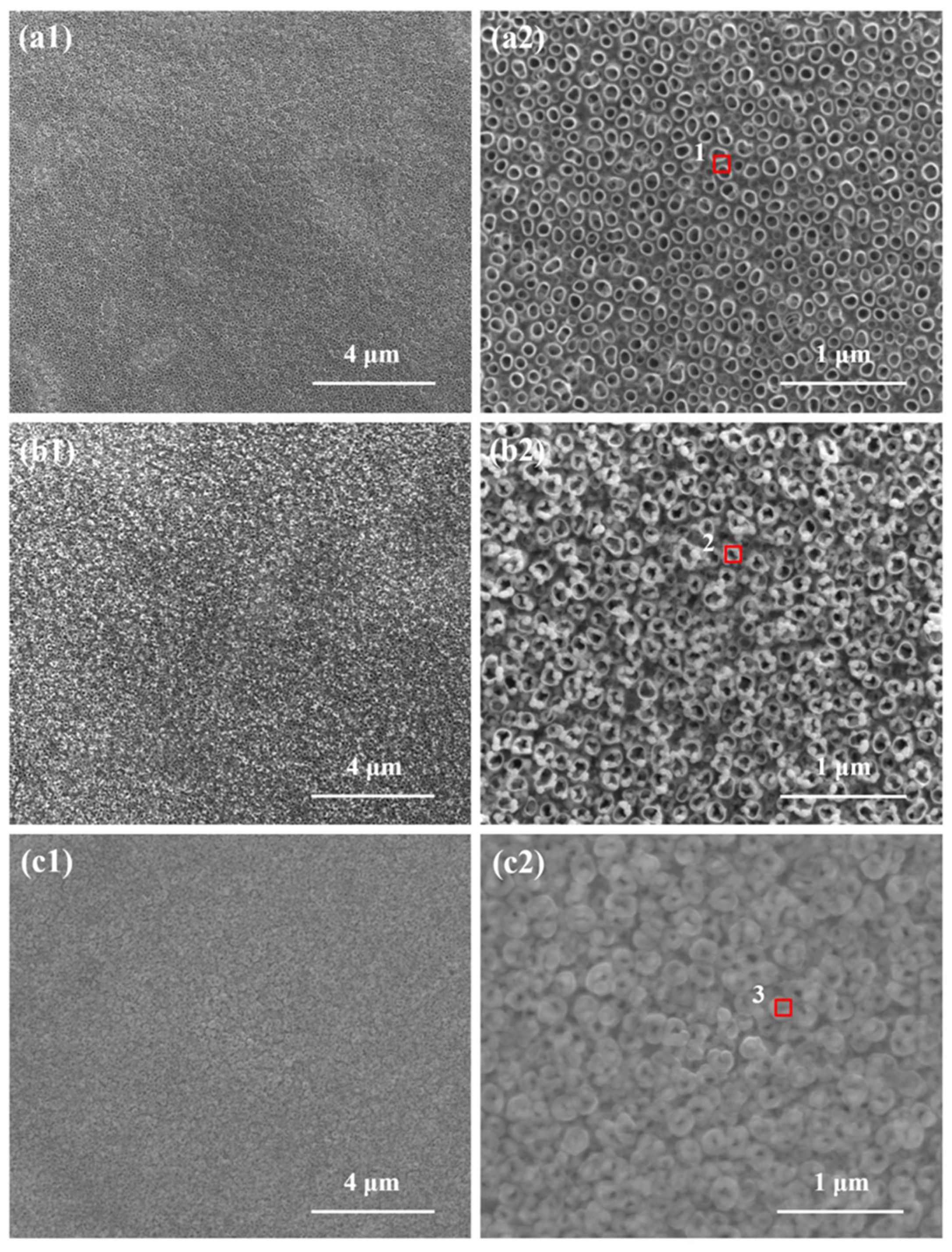 Molecules 27 05815 g001