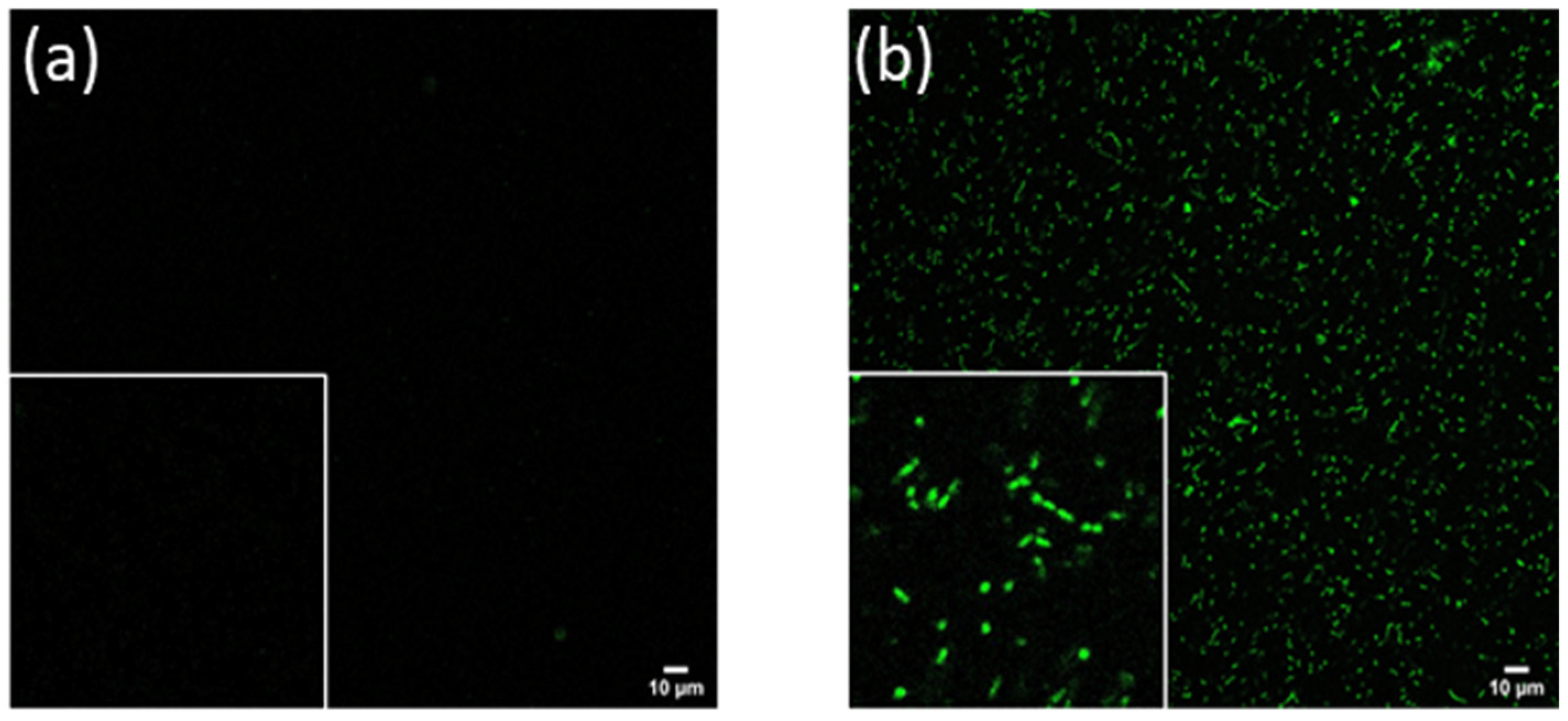 Molecules 27 05821 g001