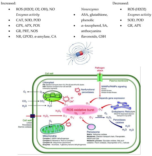 Molecules 27 05823 g002