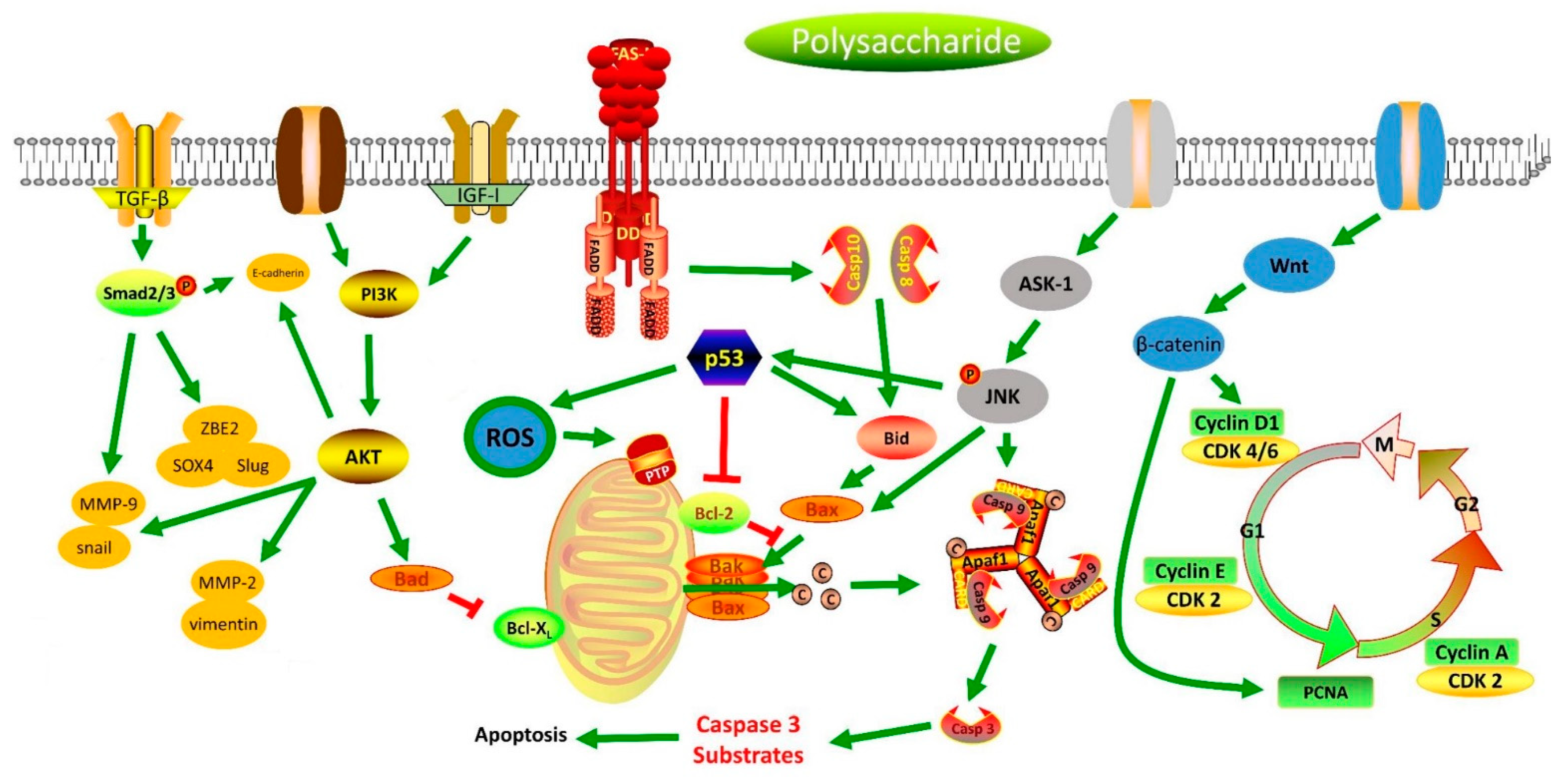 Molecules 27 05828 g003 Molecules 27 05828 g003
