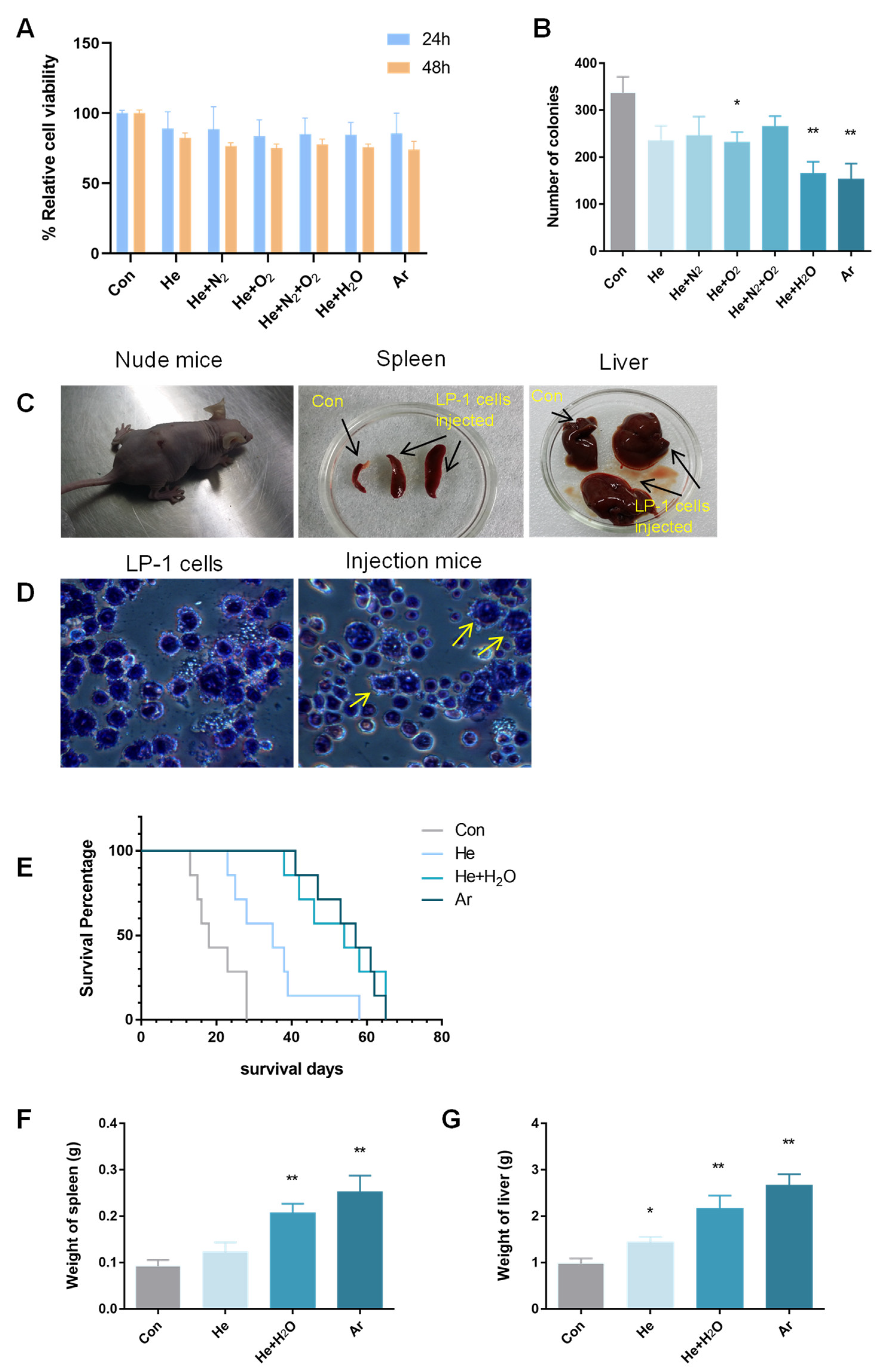Molecules 27 05832 g001 Molecules 27 05832 g001