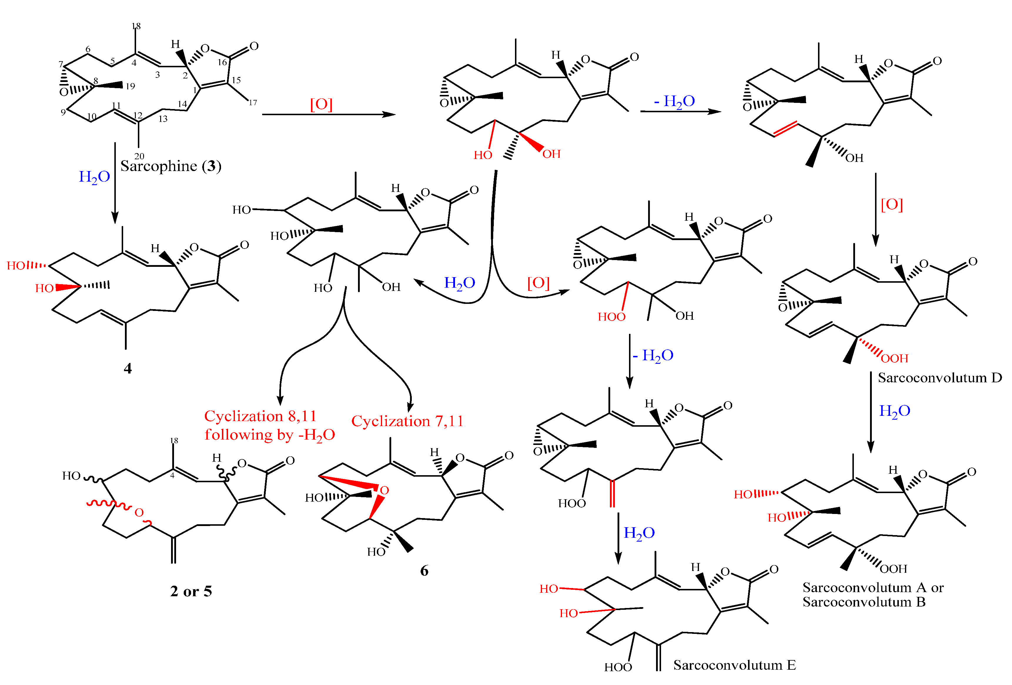 Molecules 27 05835 g005 Molecules 27 05835 g005