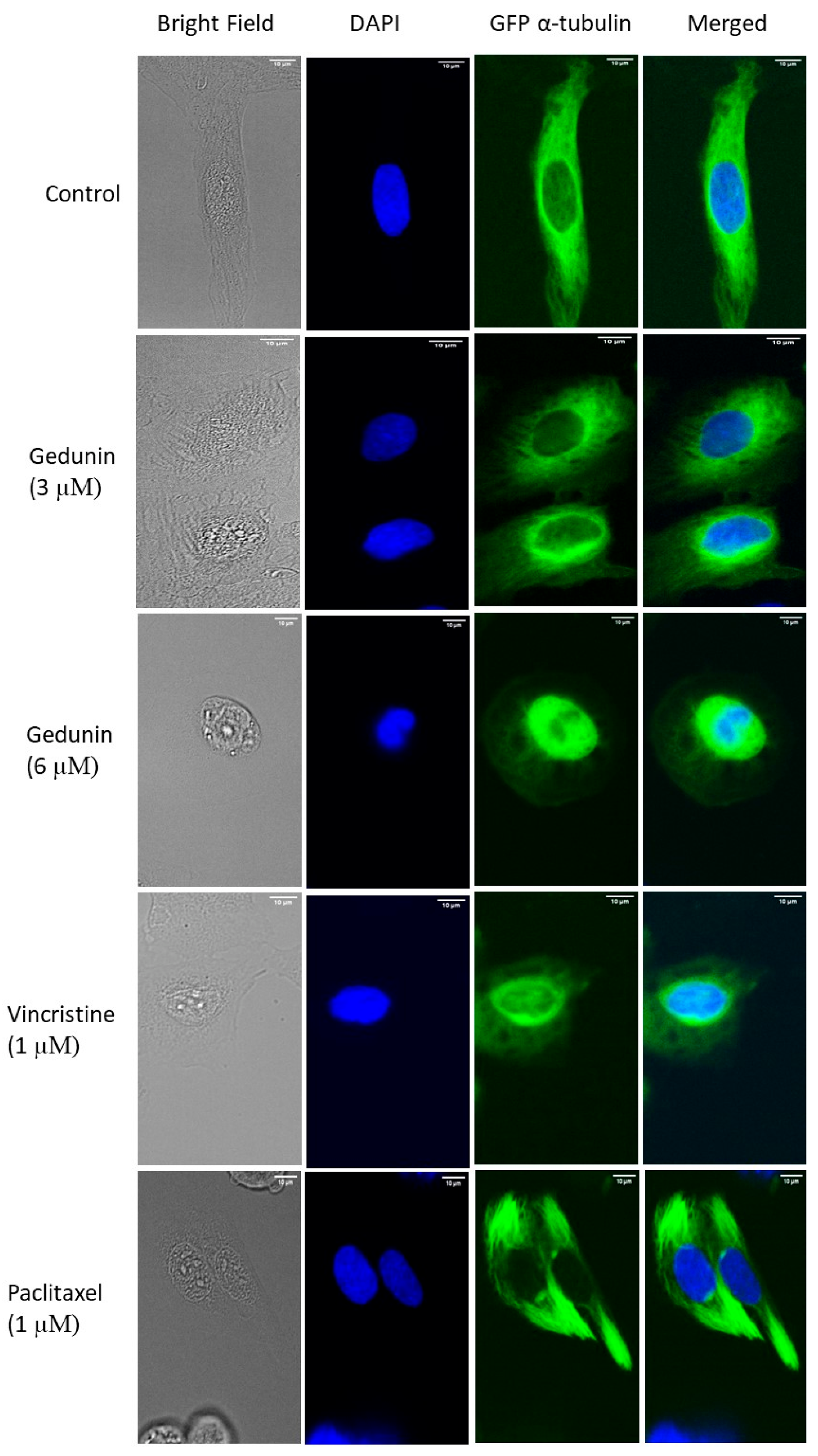 Molecules 27 05858 g006