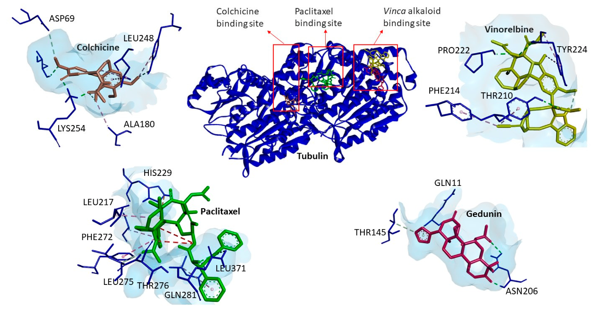 Molecules 27 05858 g007