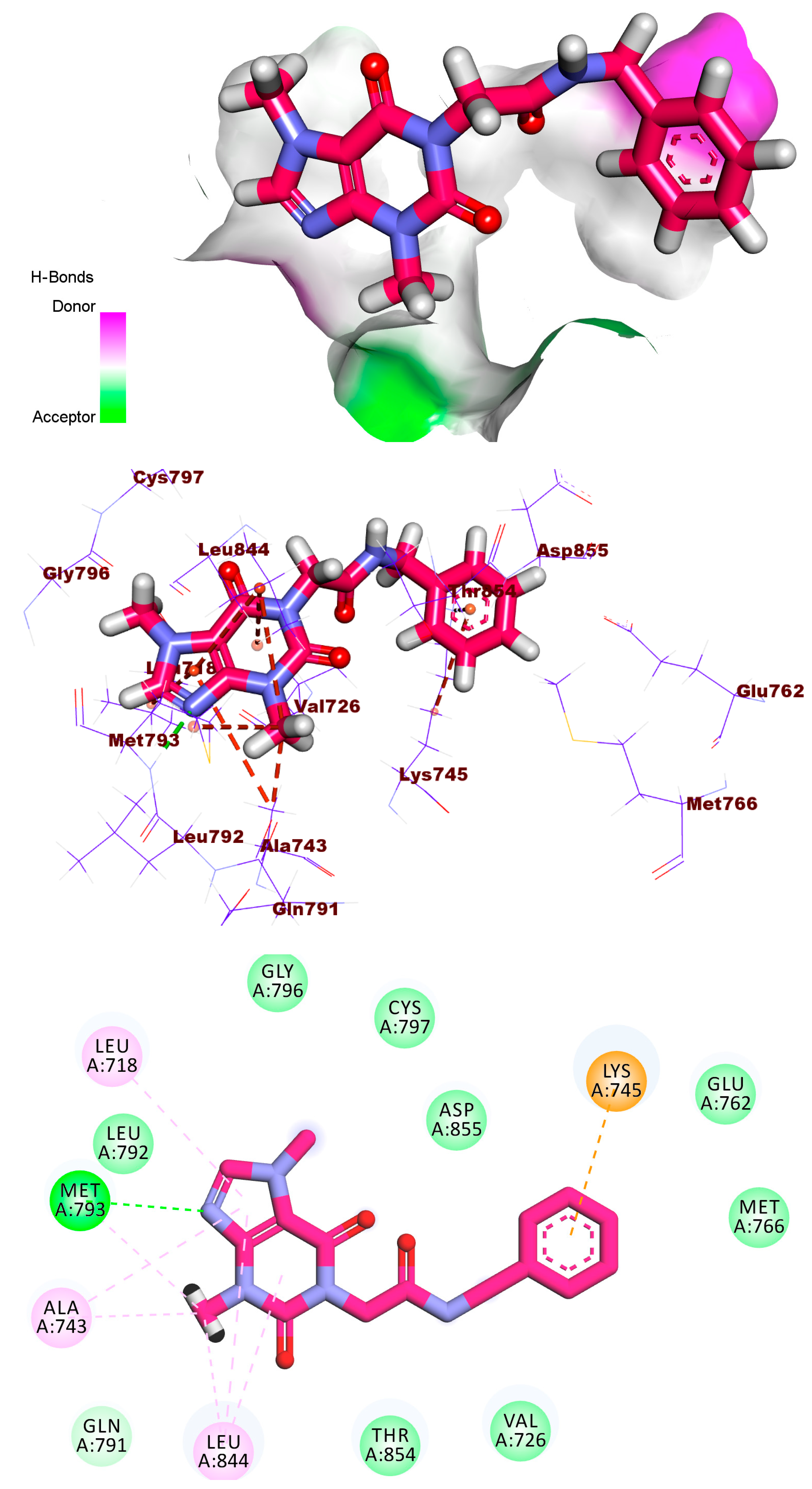Molecules 27 05859 g007