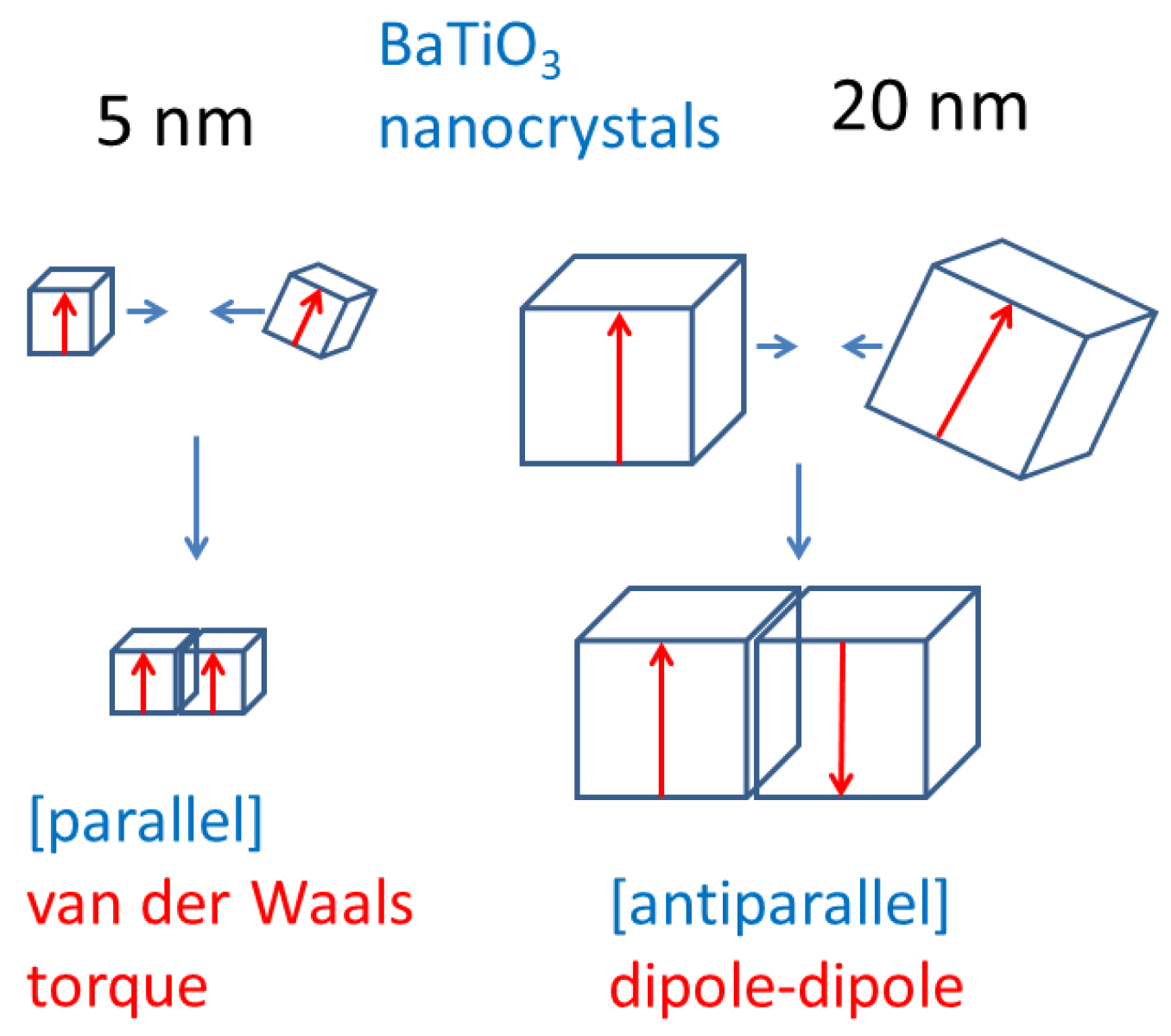 Molecules 27 05860 g005