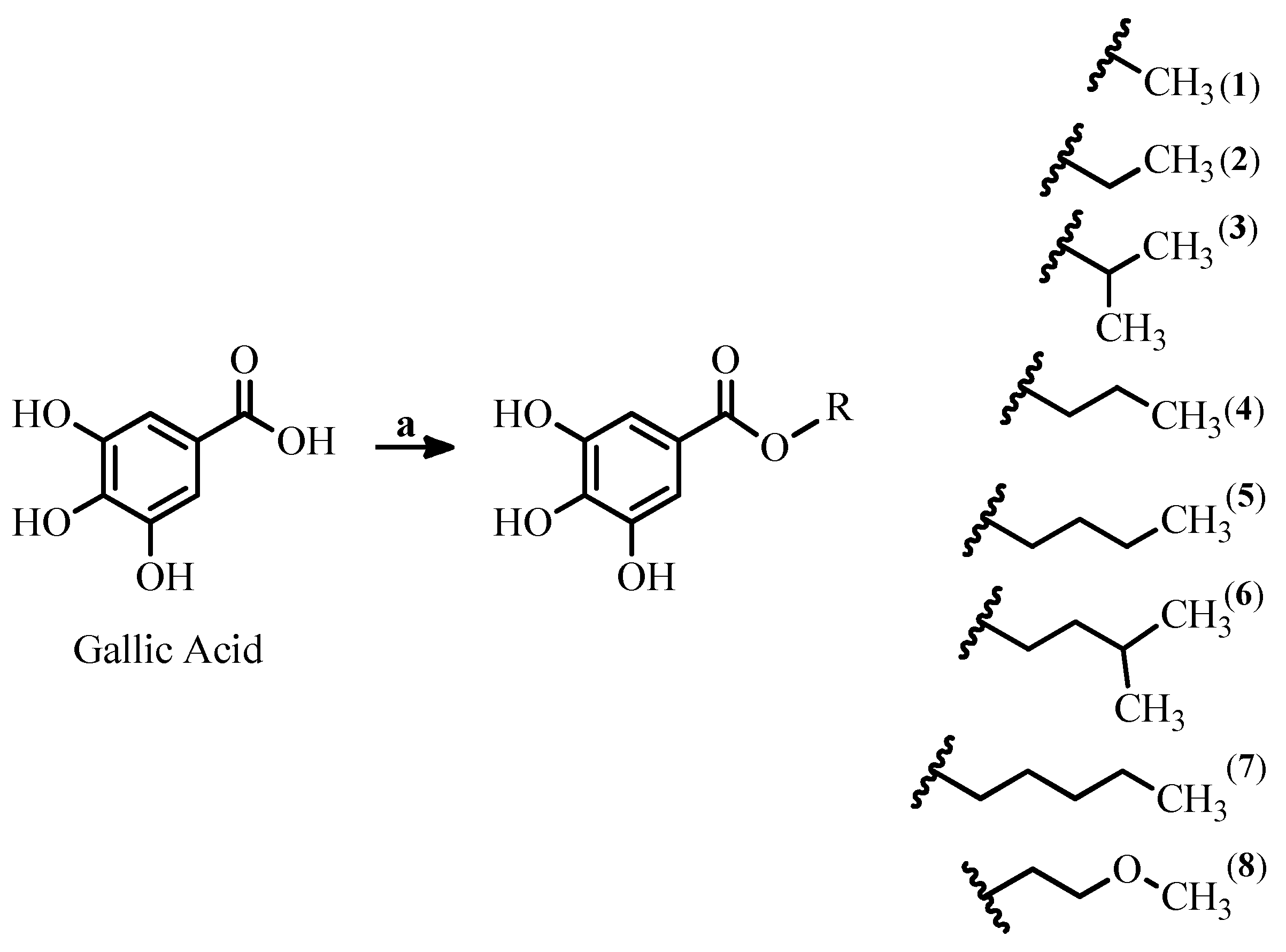 Molecules 27 05876 g001