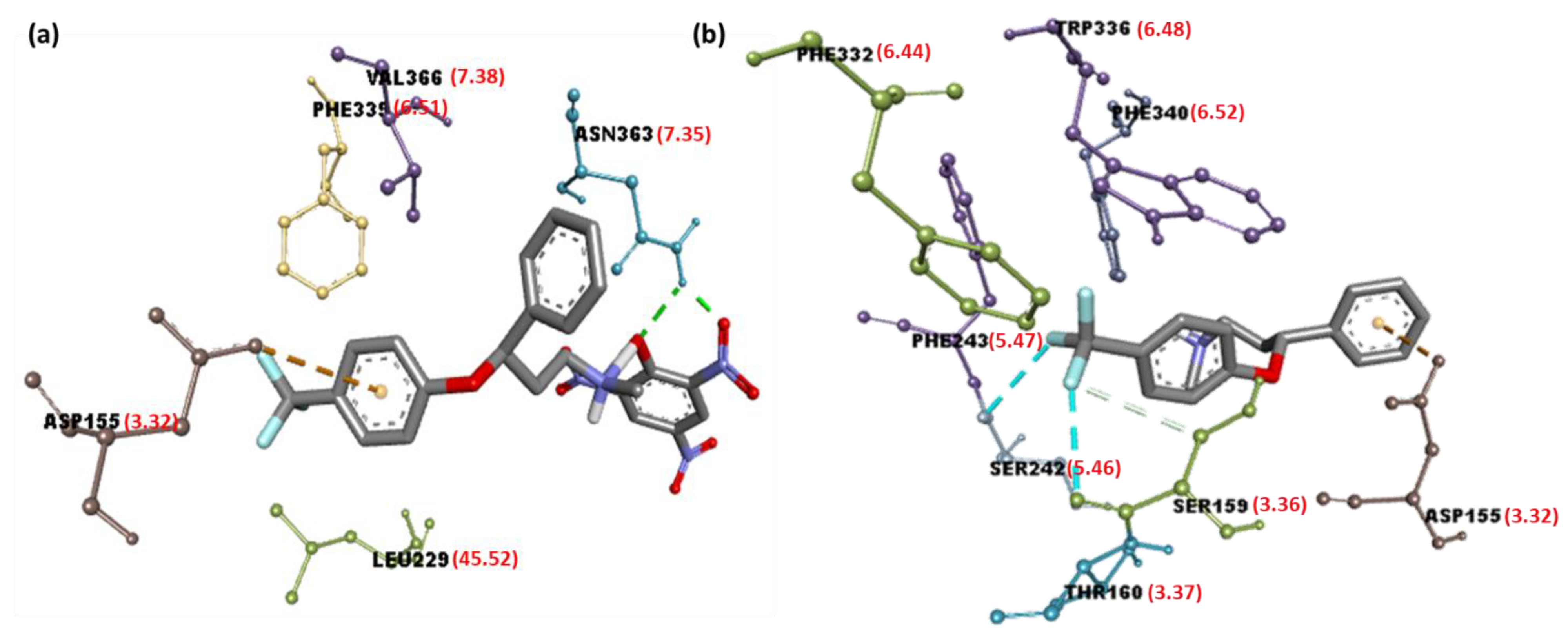 Molecules 27 05883 g006