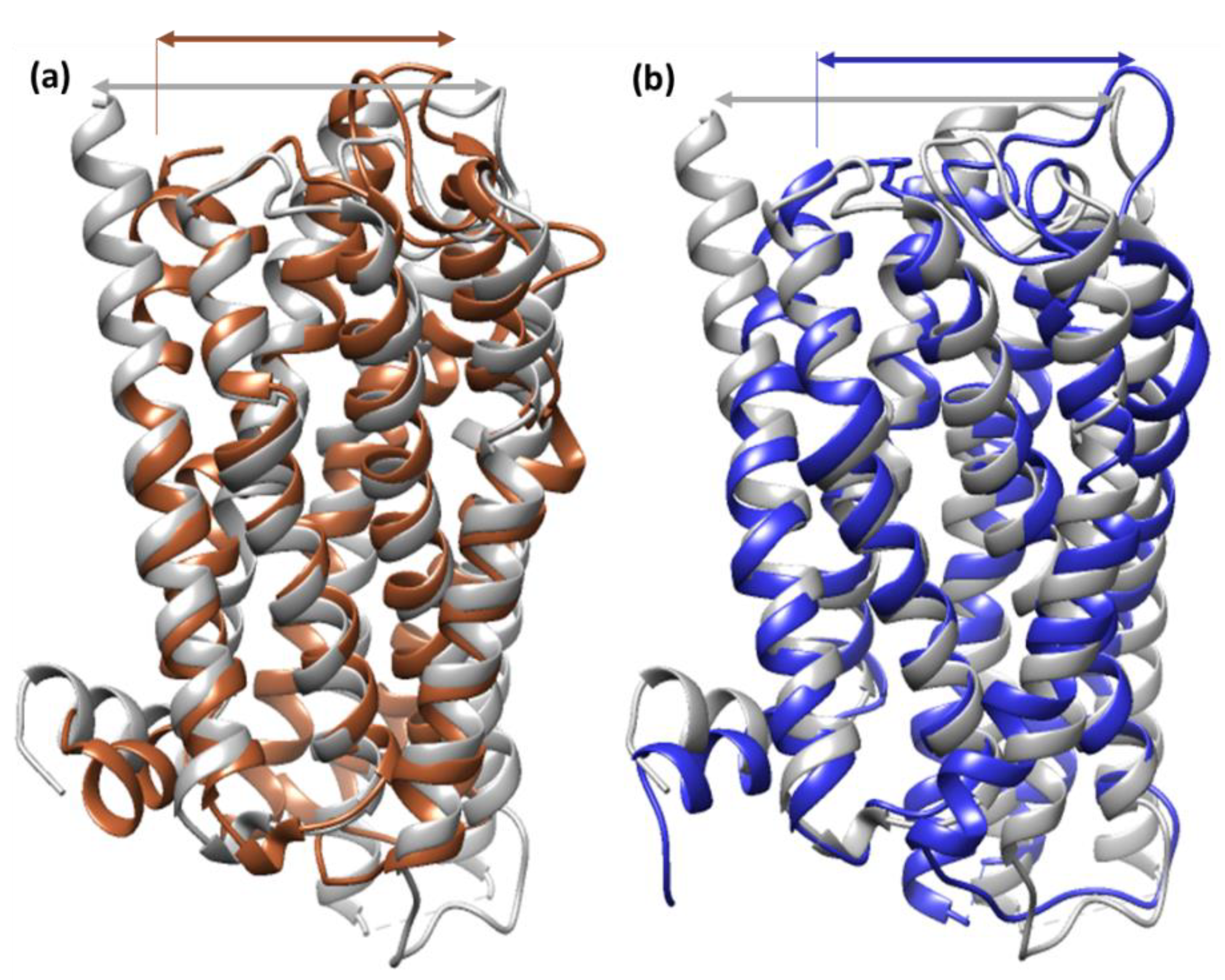 Molecules 27 05883 g011