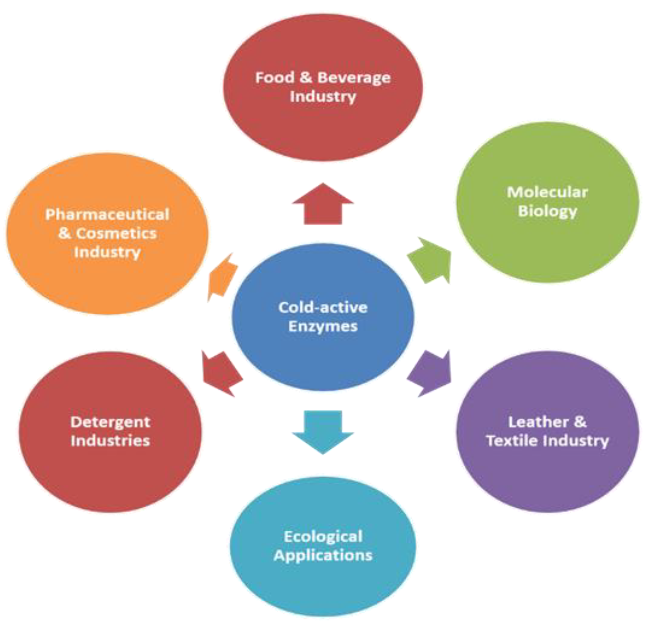 Molecules 27 05885 g002