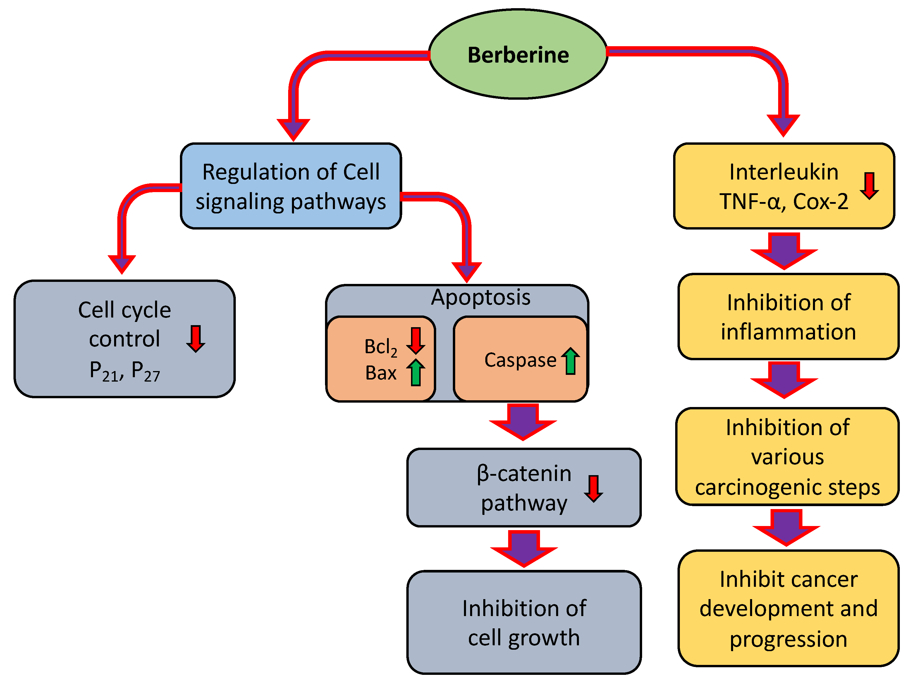 Molecules 27 05889 g001