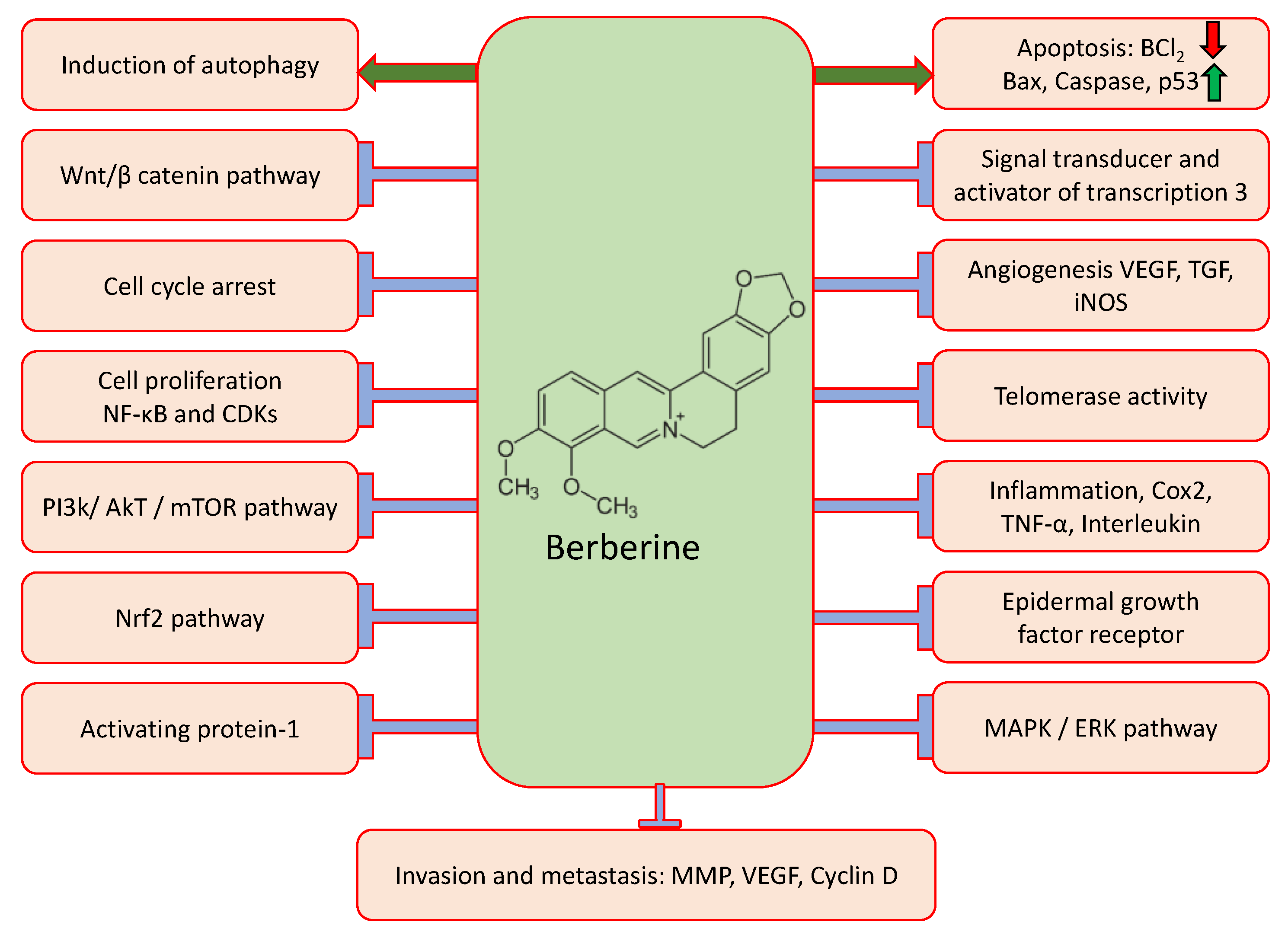 Molecules 27 05889 g002