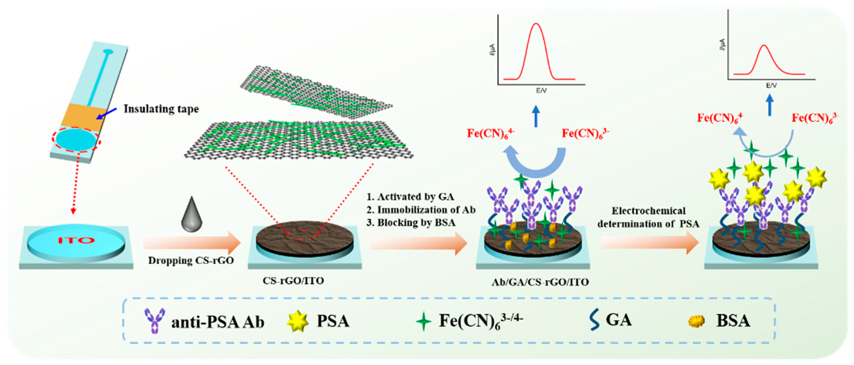 Molecules 27 05895 g001