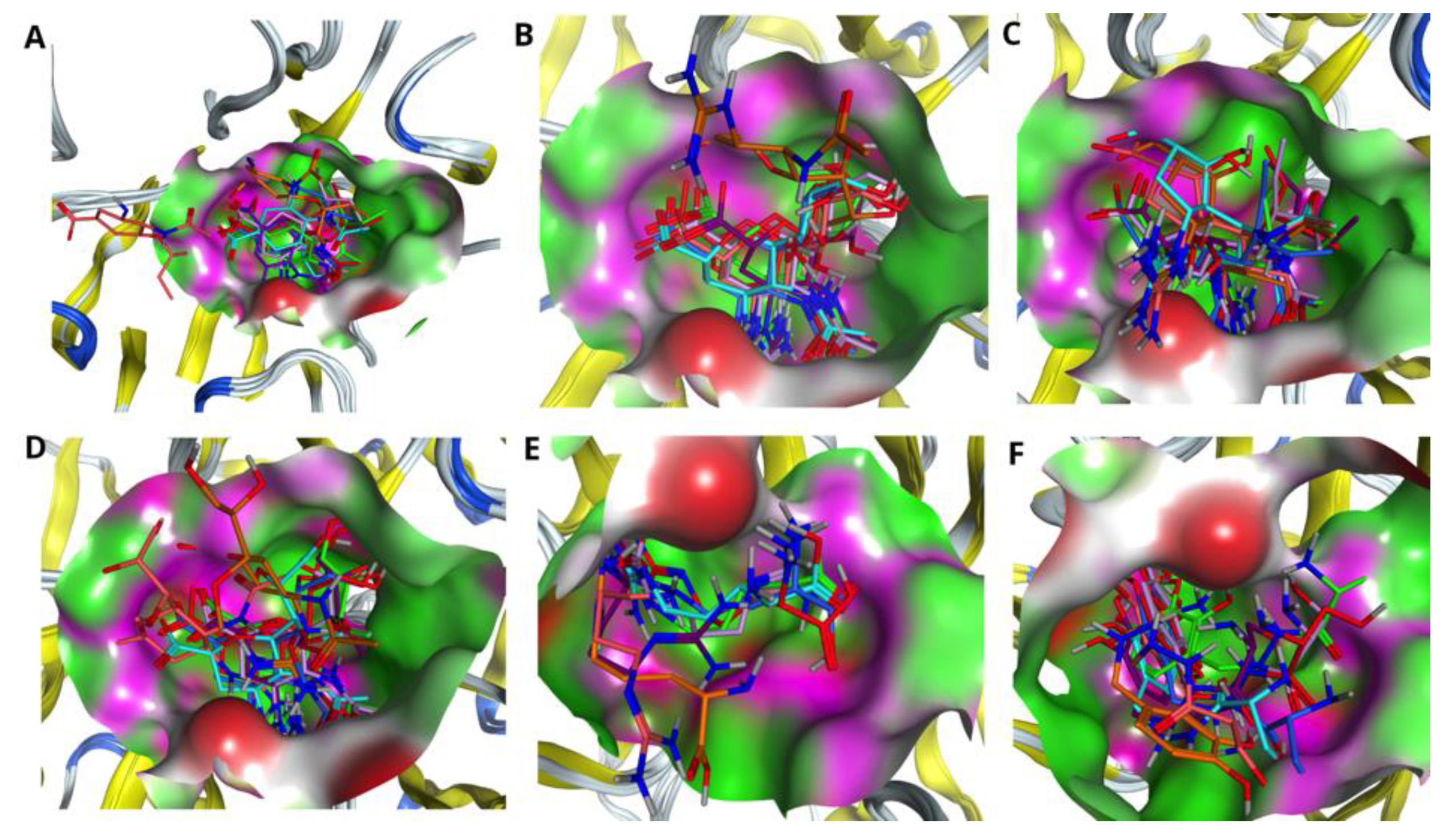 Molecules 27 05920 g002