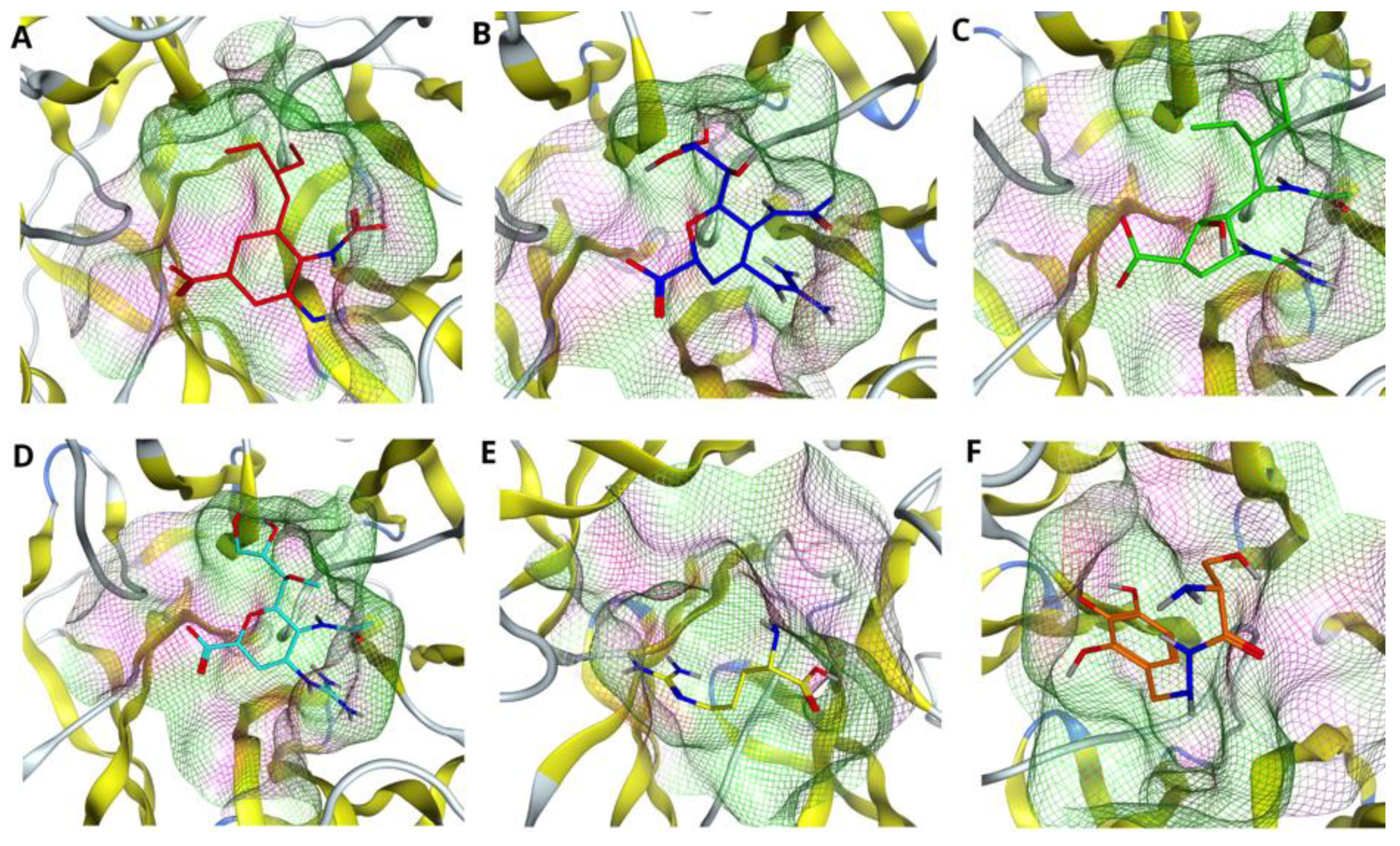 Molecules 27 05920 g004