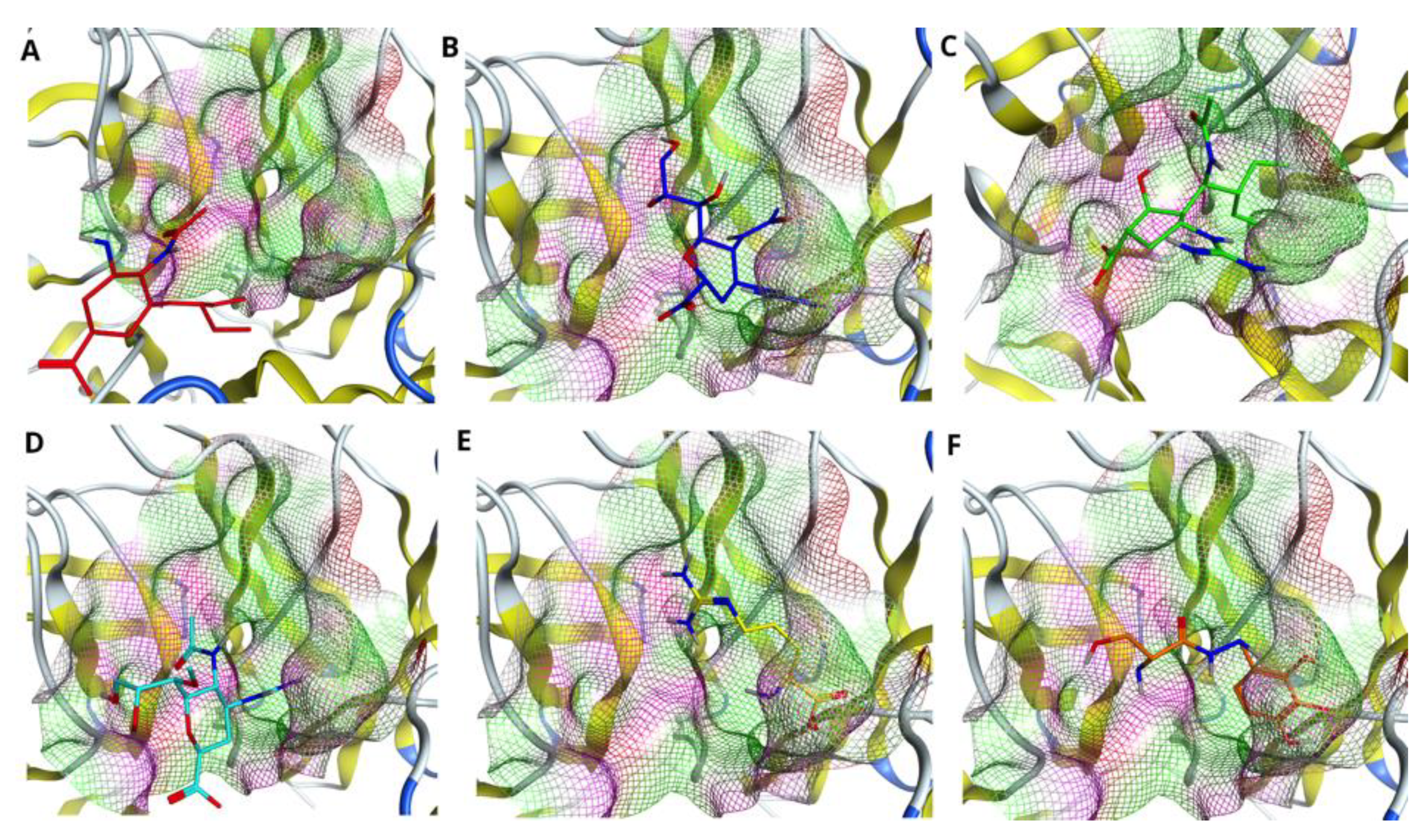 Molecules 27 05920 g006