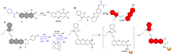 Molecules 27 05922 g002 550
