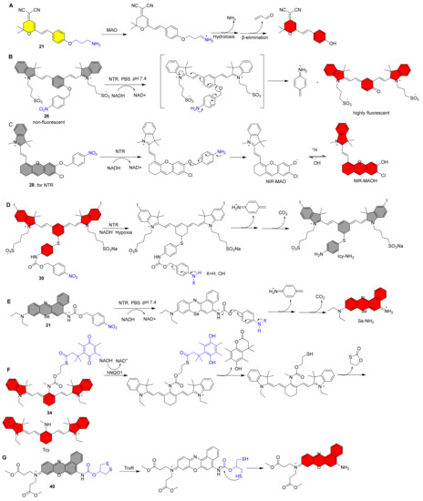 Molecules 27 05922 g004 550