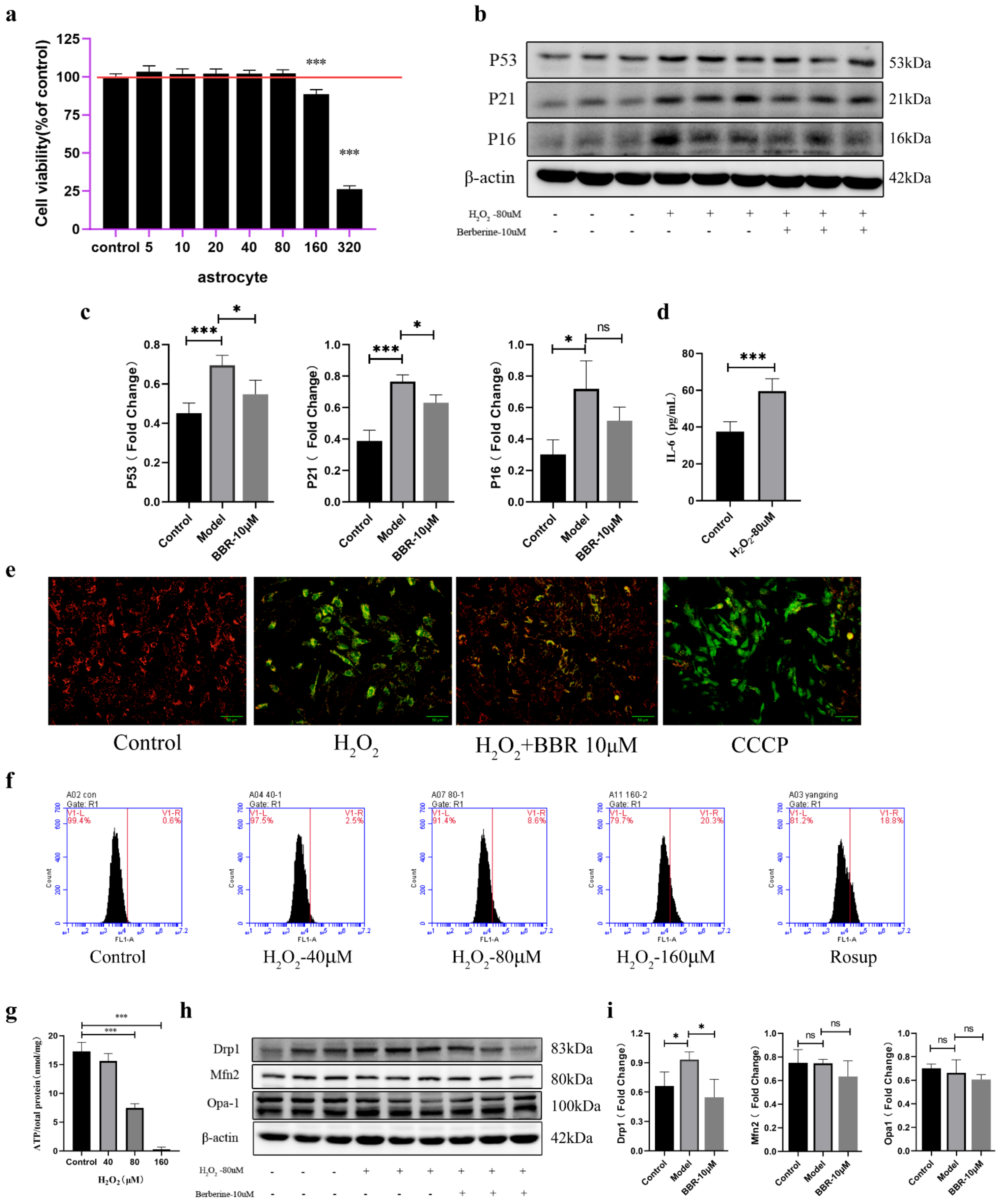 Molecules 27 05925 g004