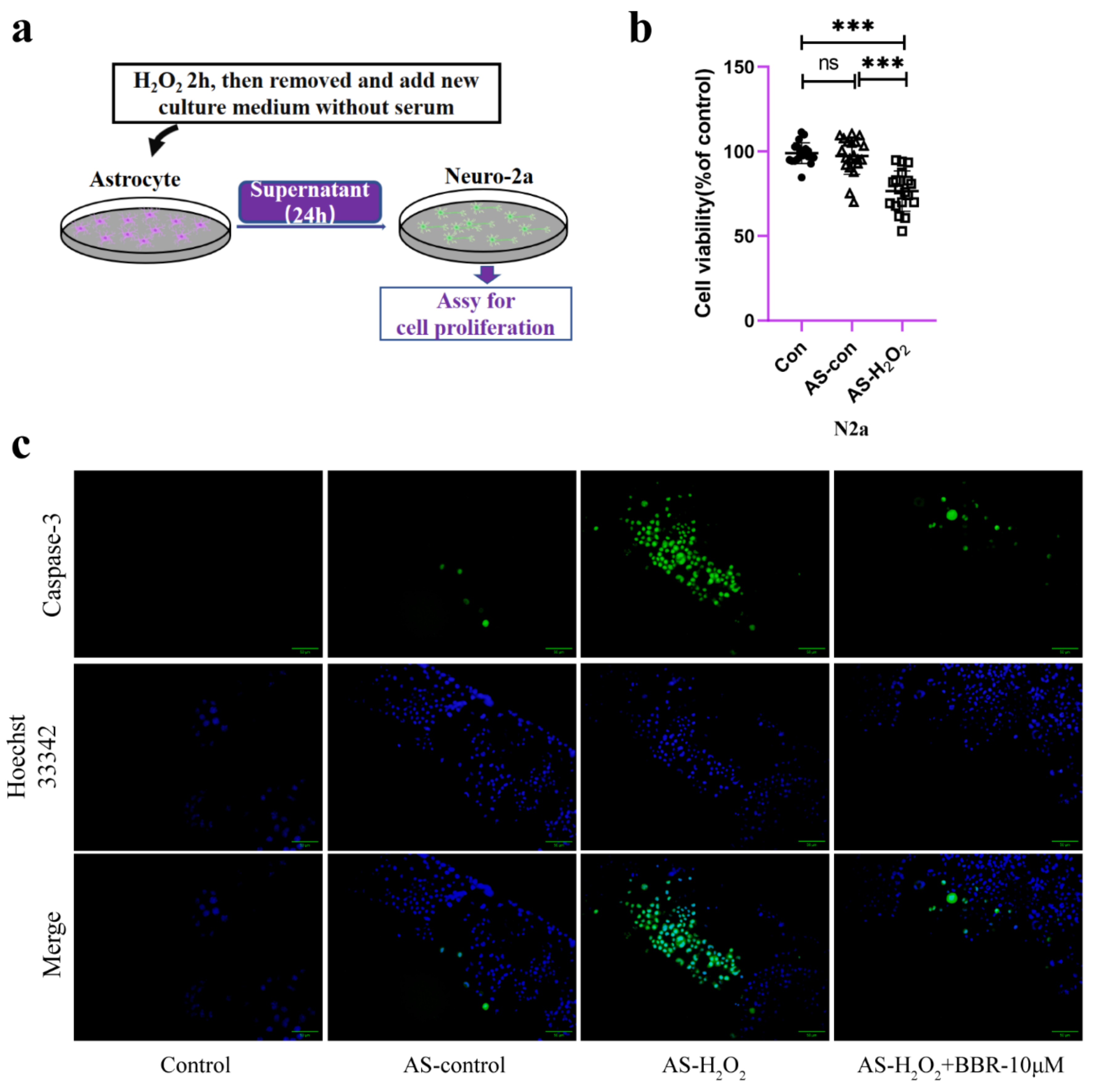 Molecules 27 05925 g005