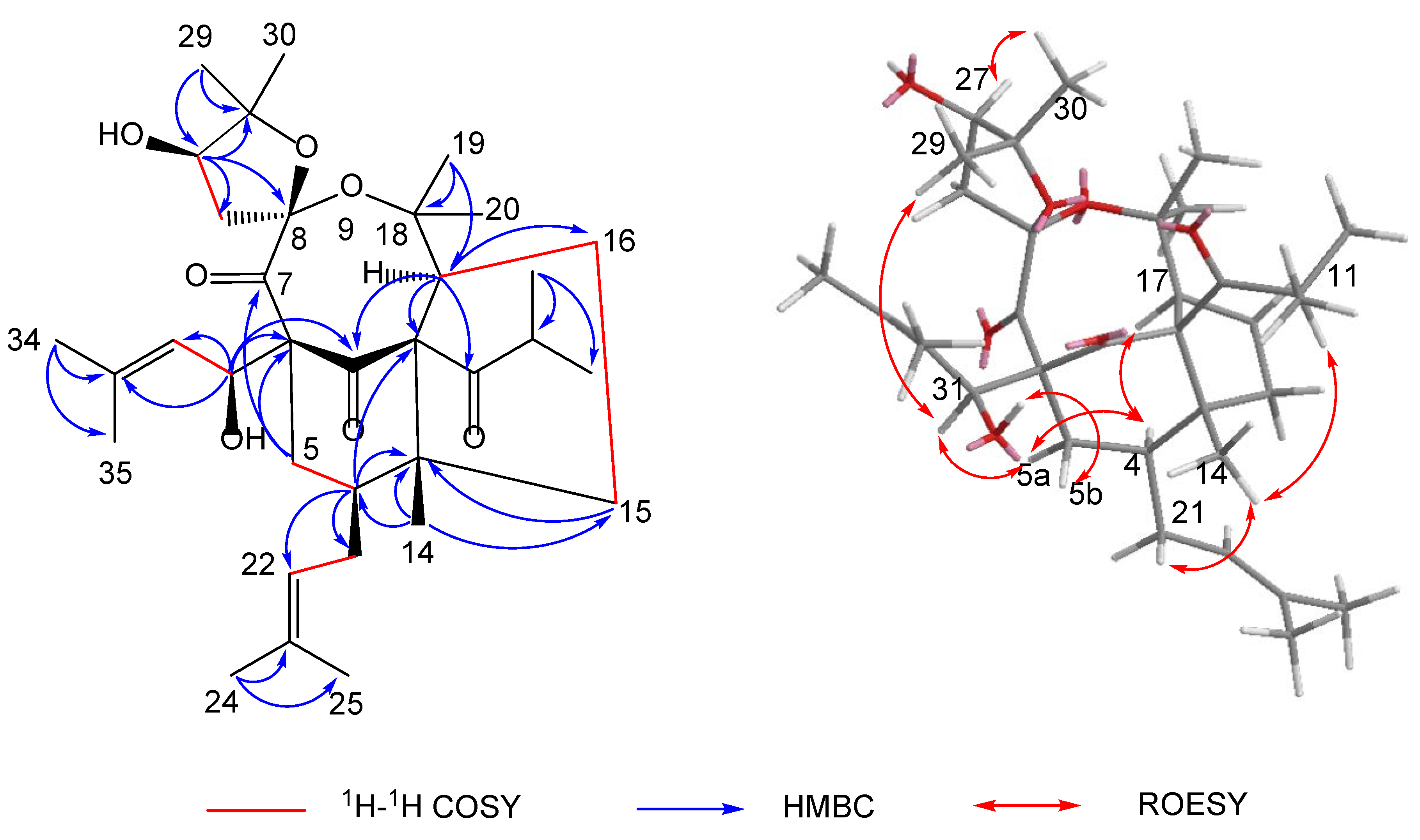 Molecules 27 05932 g002