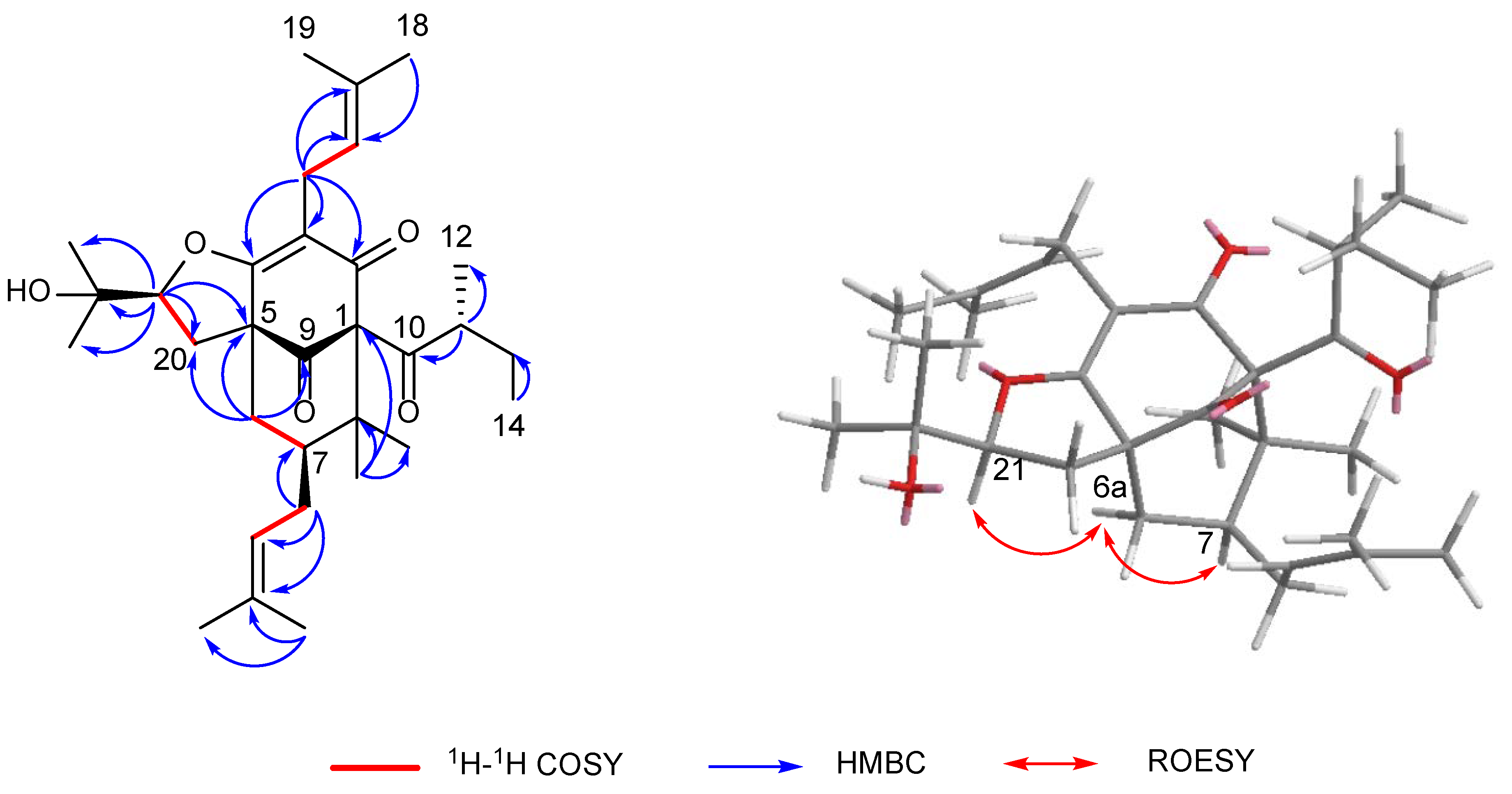 Molecules 27 05932 g004