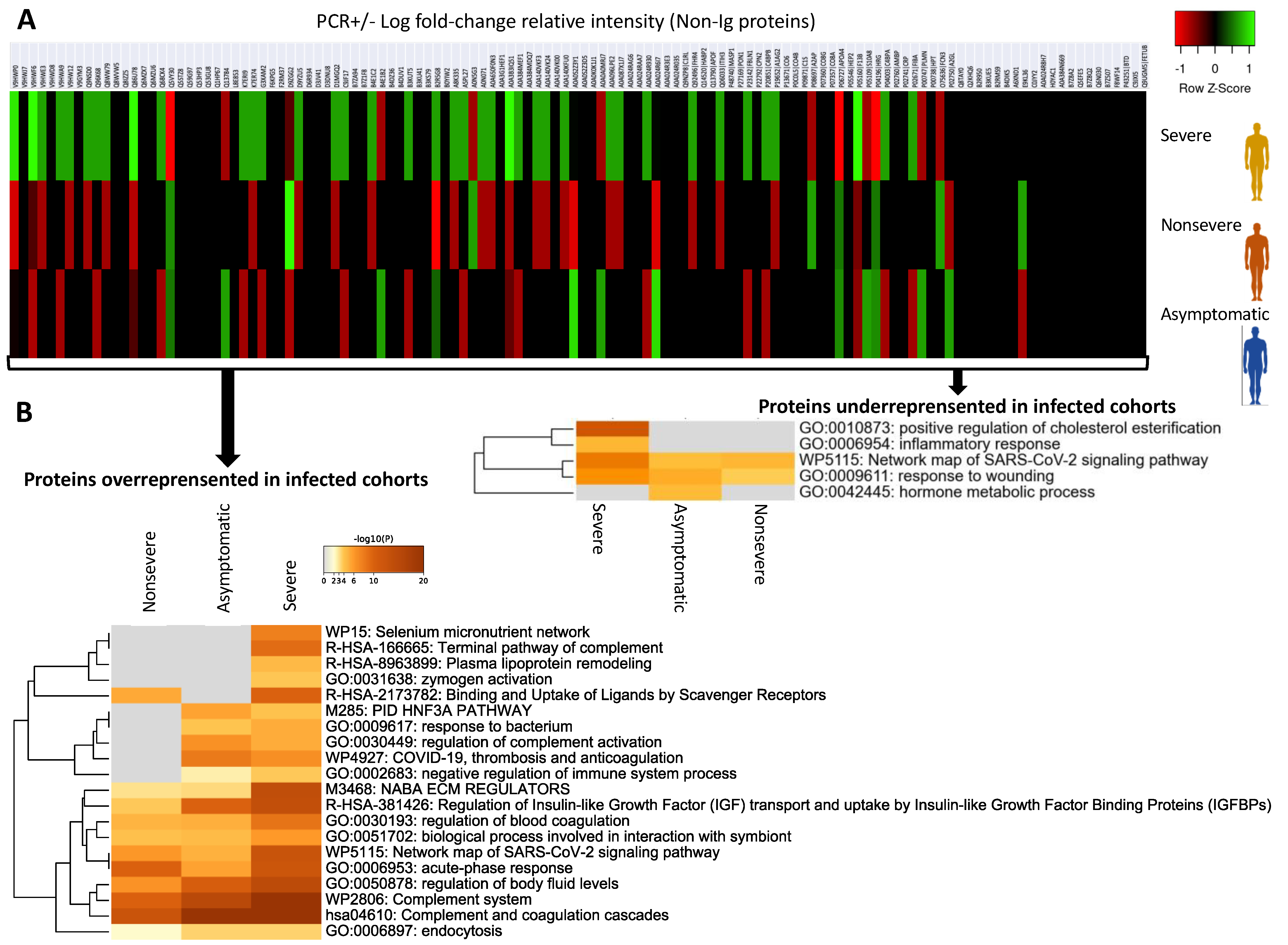 Molecules 27 05933 g006