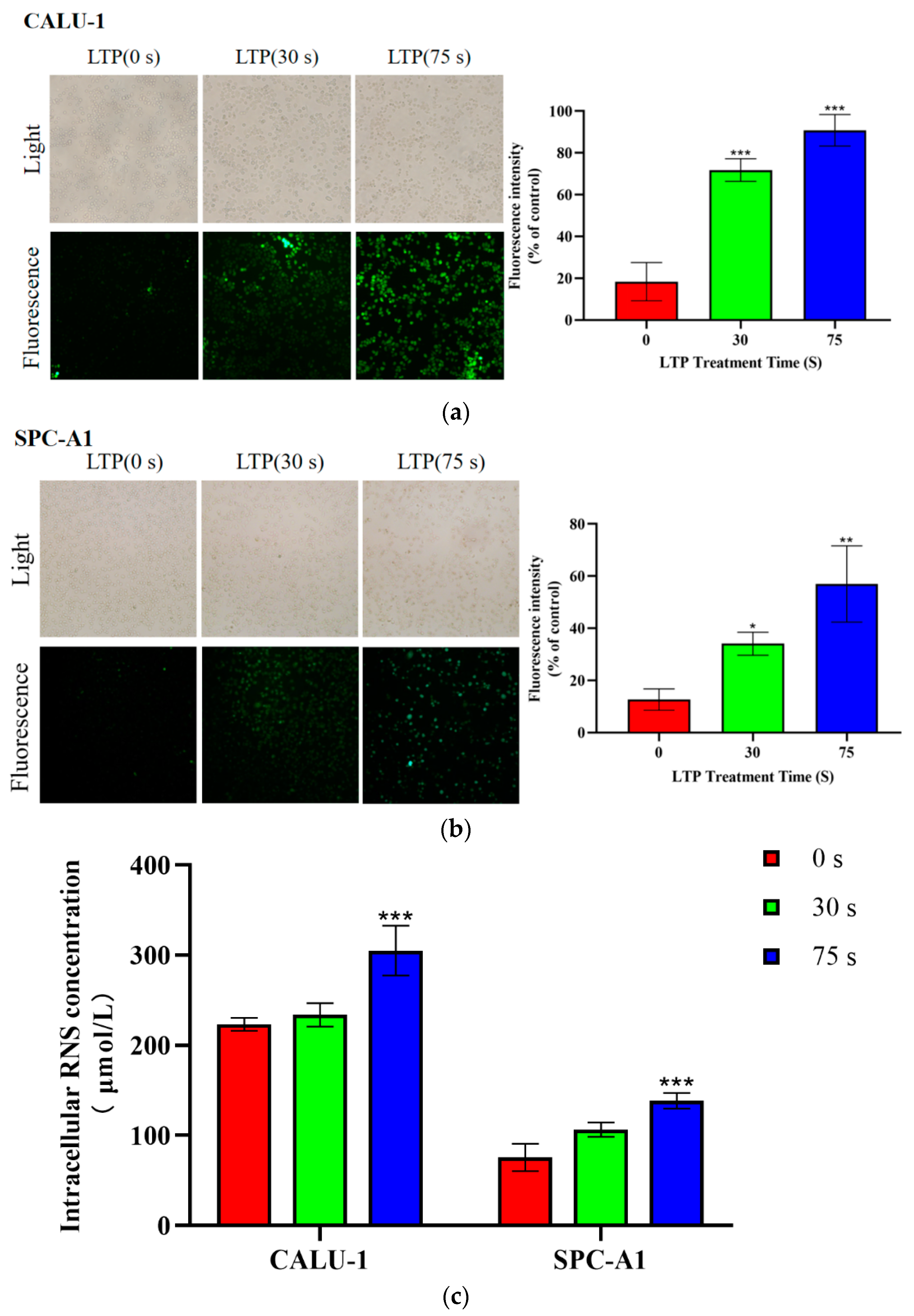 Molecules 27 05934 g003