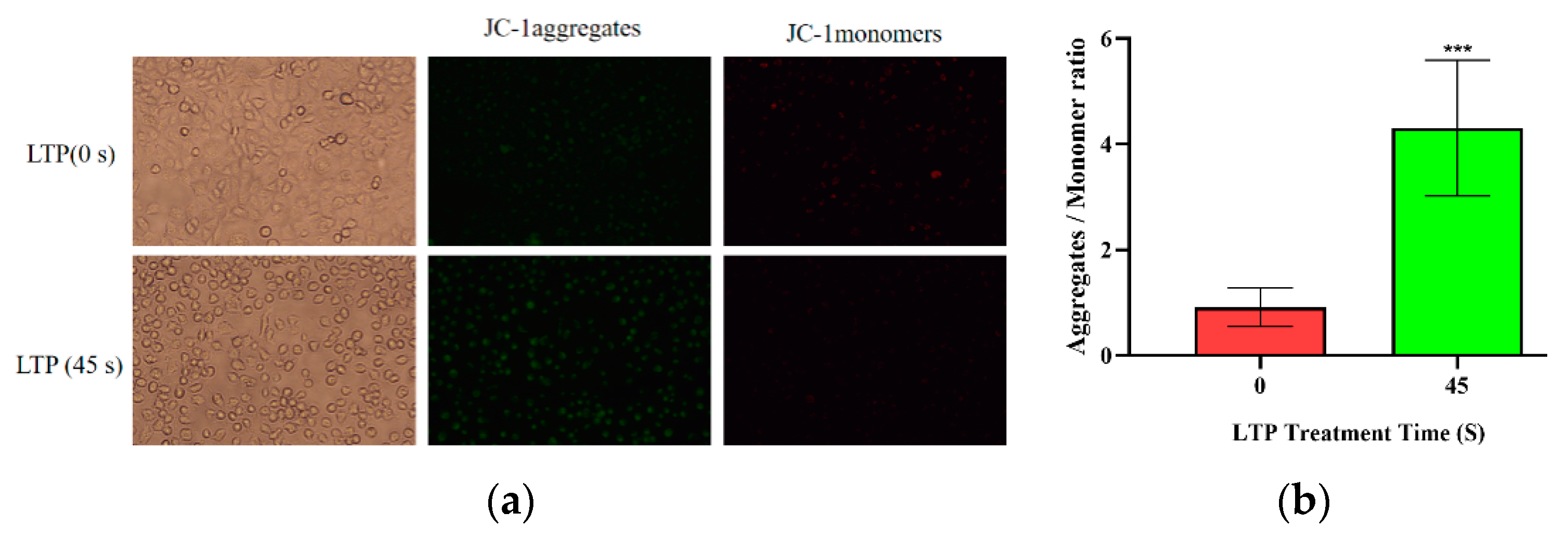 Molecules 27 05934 g005