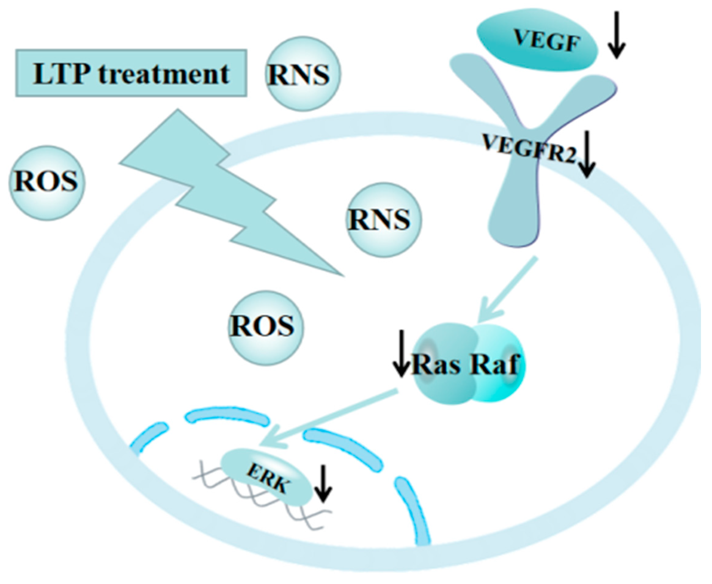 Molecules 27 05934 g008