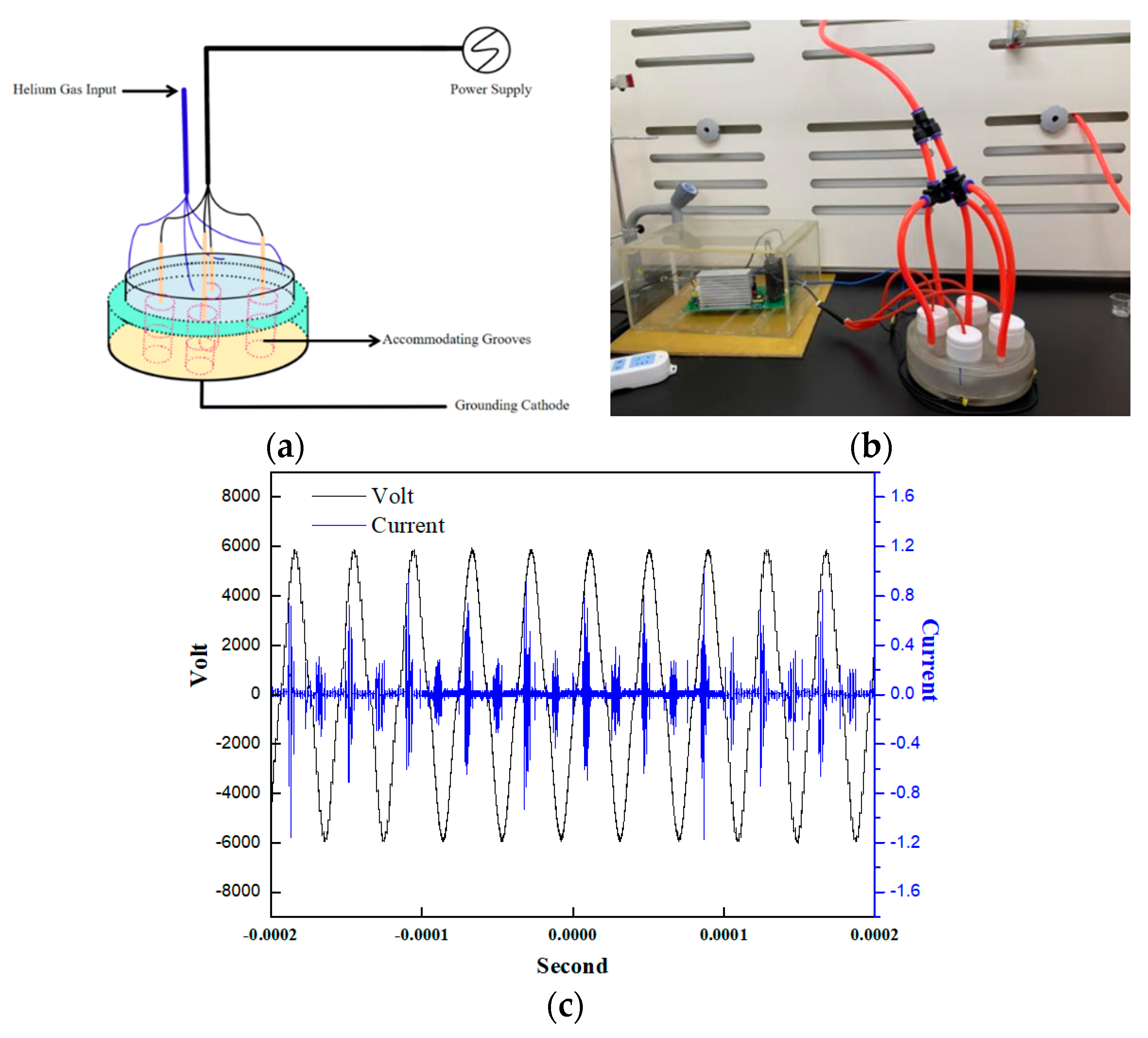 Molecules 27 05934 g009