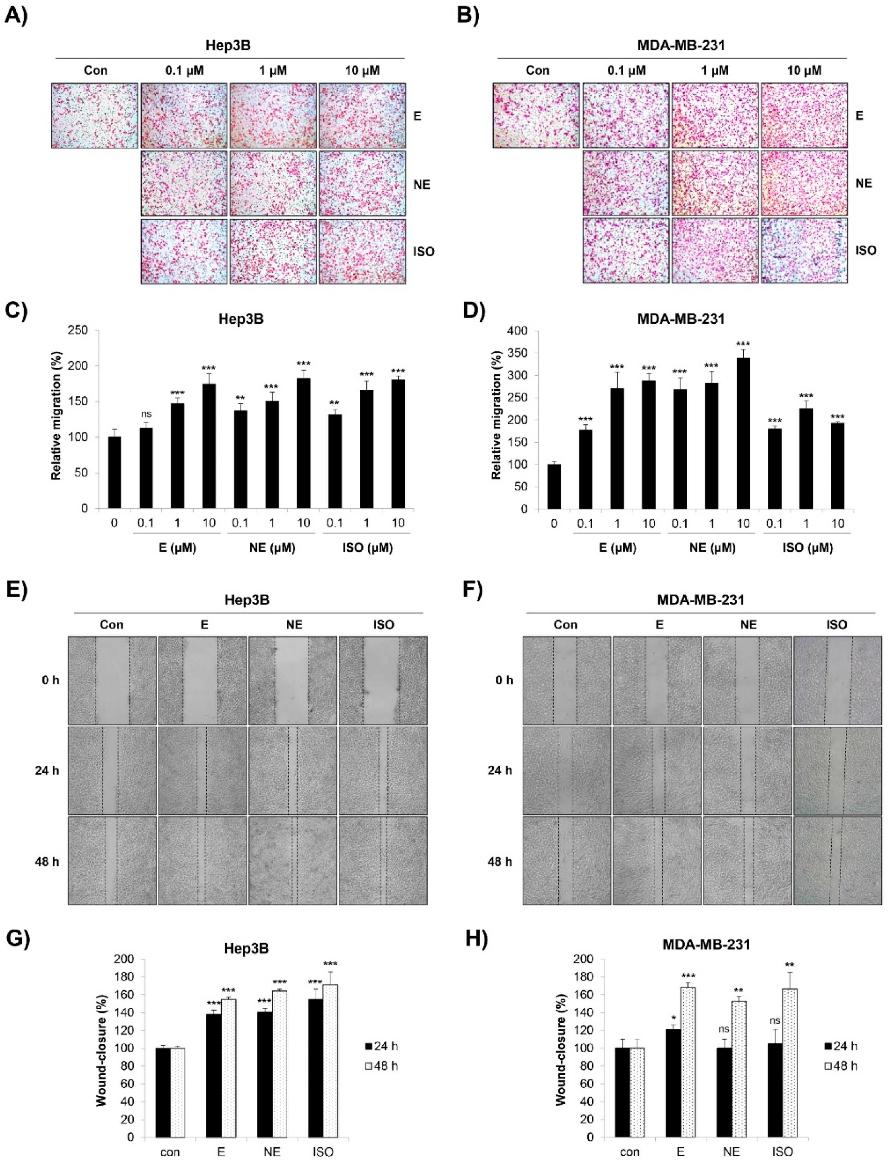 Molecules 27 05940 g001