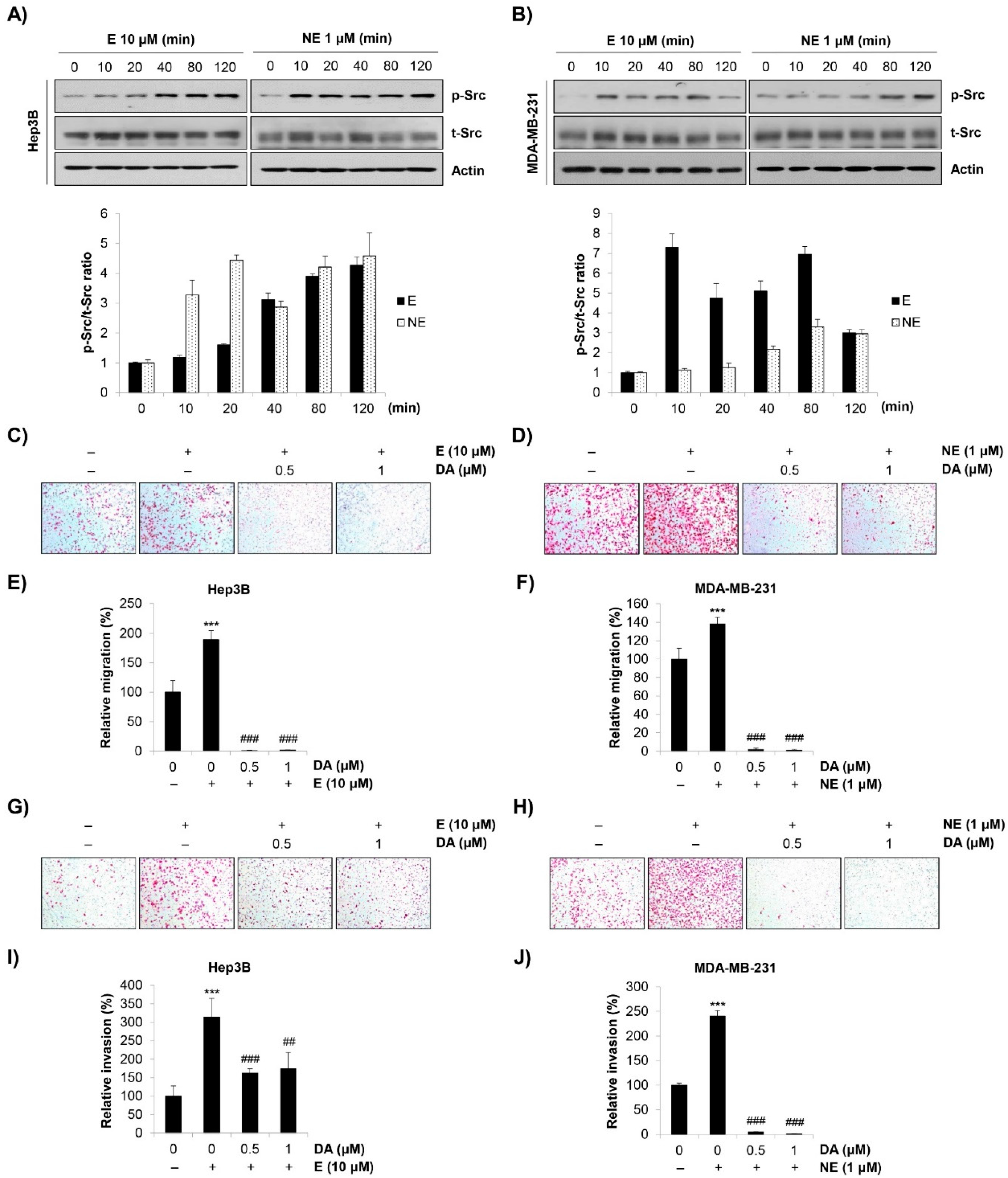 Molecules 27 05940 g003