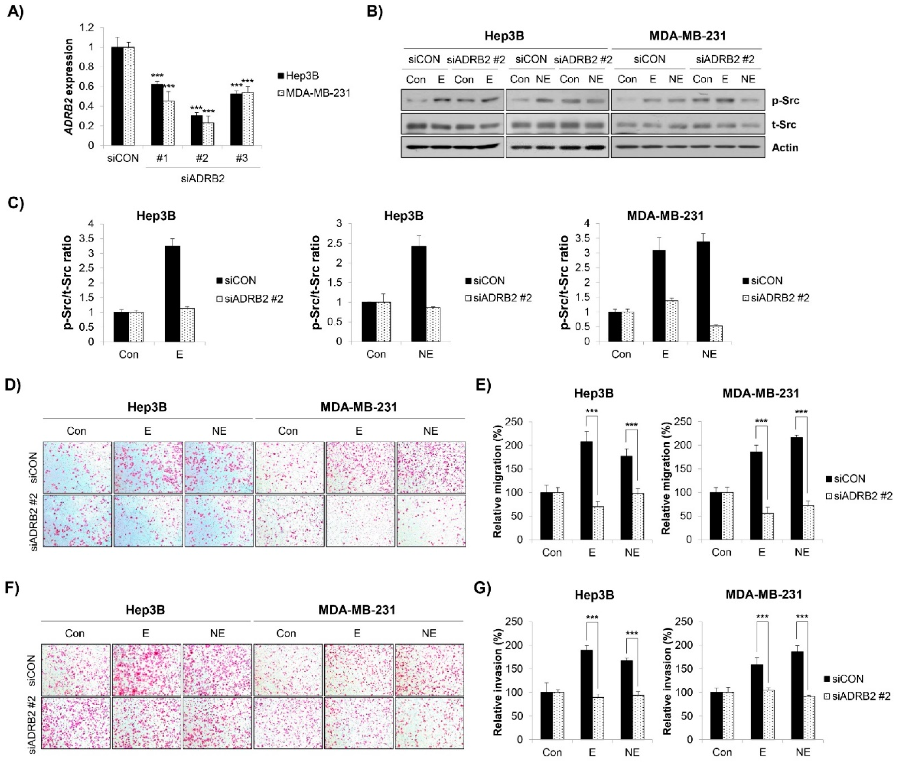Molecules 27 05940 g004